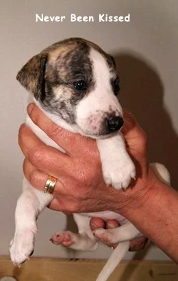 02_neverbeenkissed.jpg