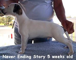 01_neverendingstory_5_weeks.jpg