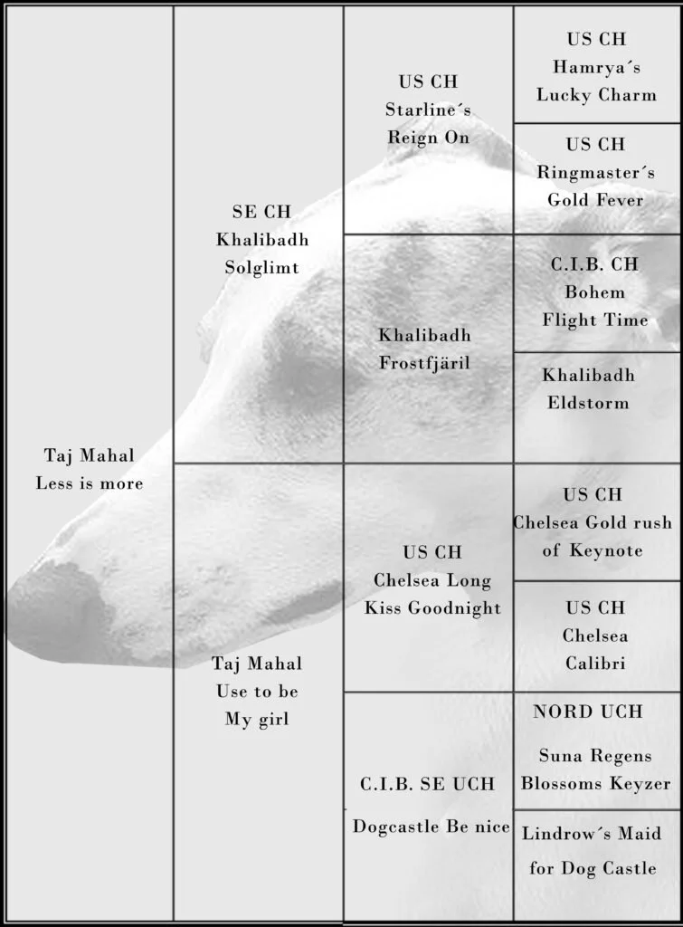 Tajmahal-lessismore-sixten-copy-755x1024.jpg