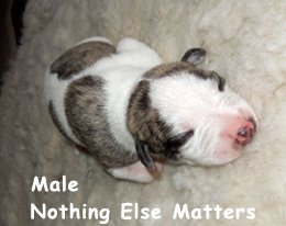 nothing_else_matters_male_2018_DSCN0390.jpg