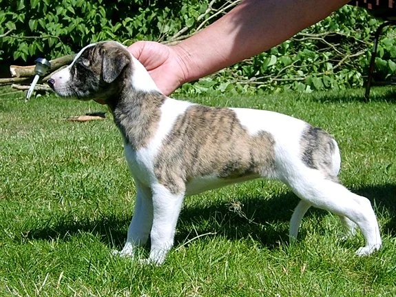 25000364_vecka6 (1).jpg