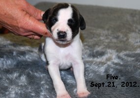 DSC_0130_Five.jpg