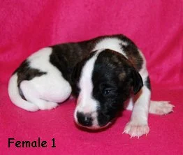 DSC_0165_female1_right_2weeks.jpg