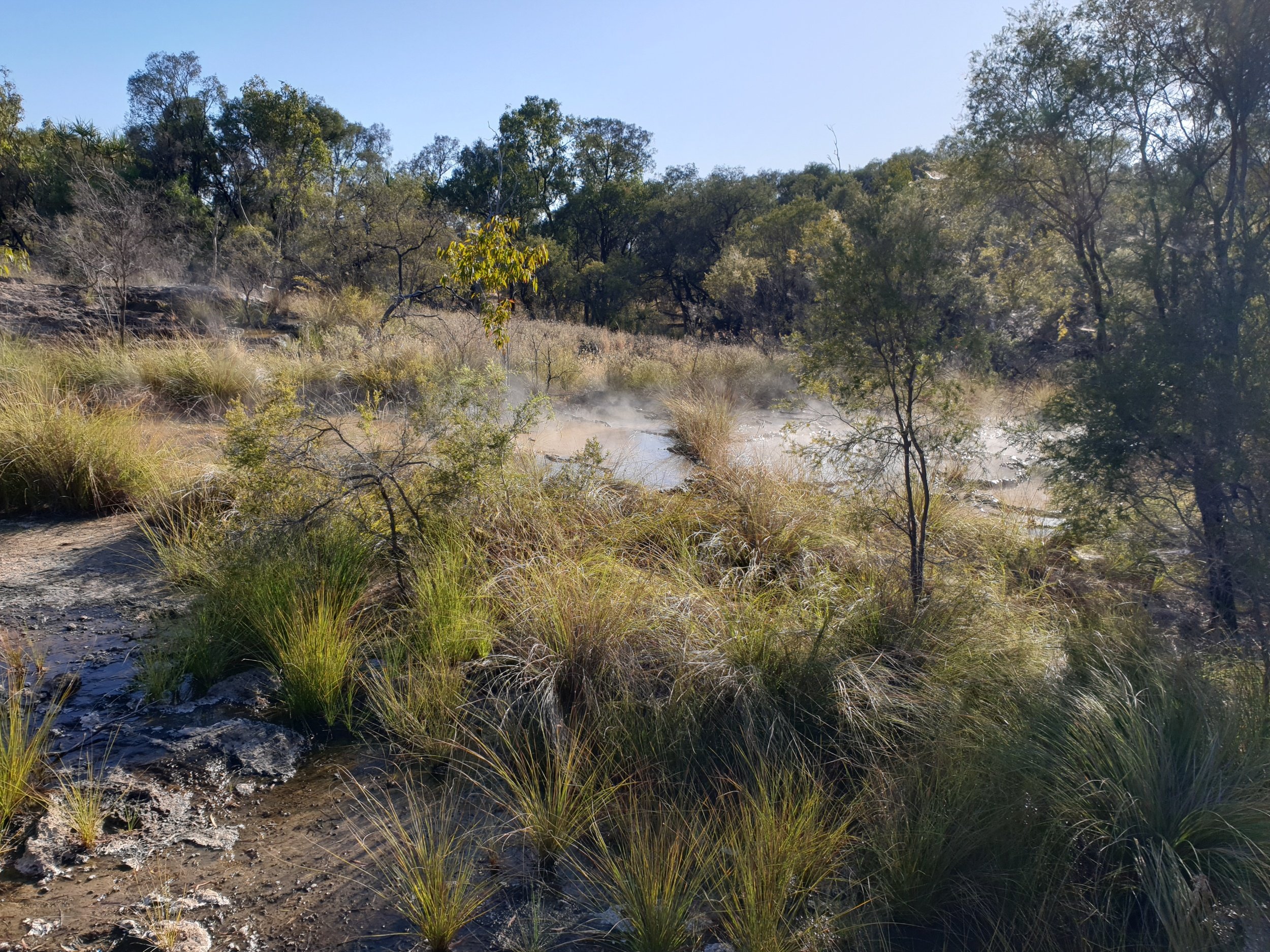 Talaroo Hot Springs — Road Trip Australia 2023