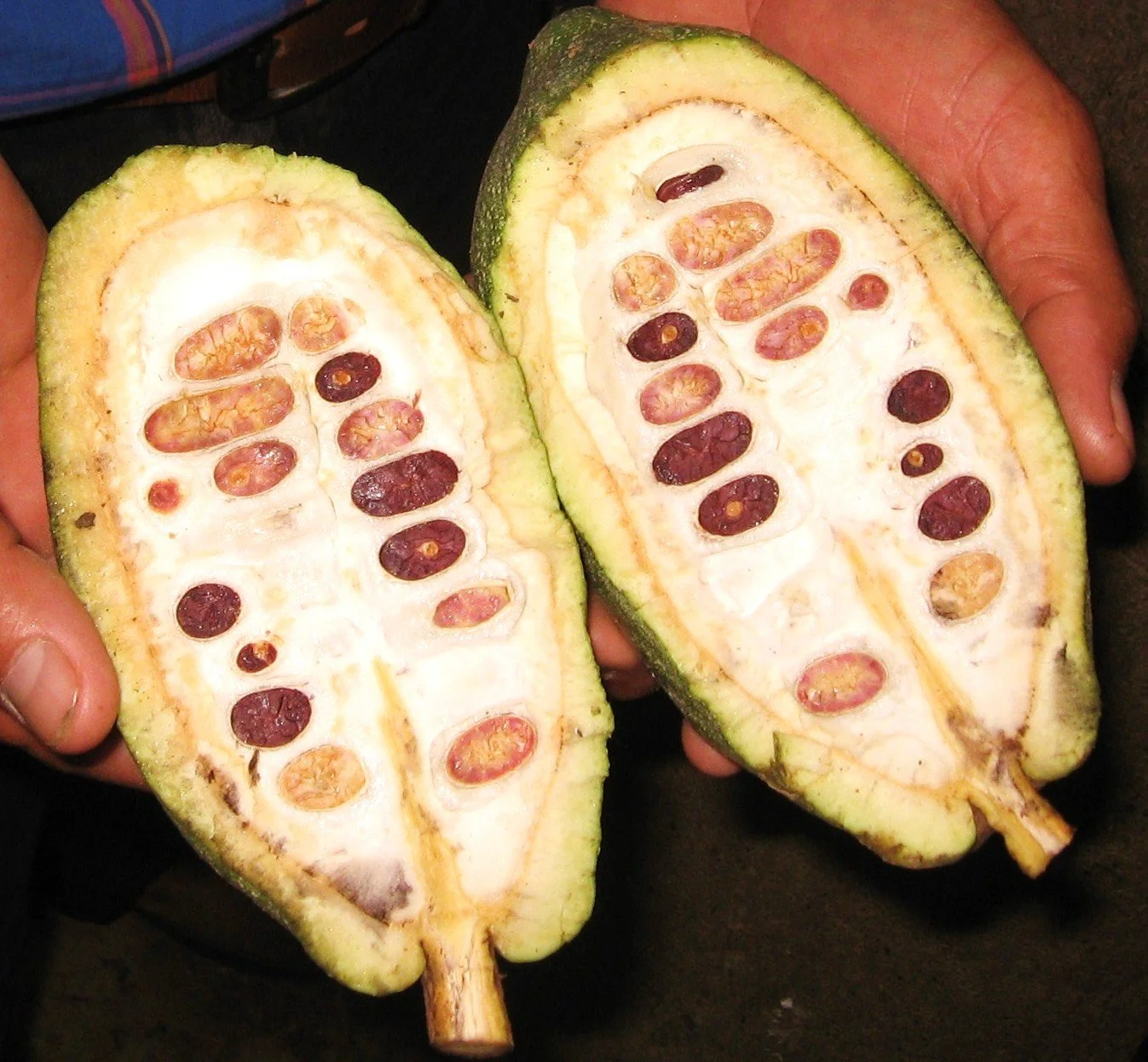 Copy of IMG_4920.JPG