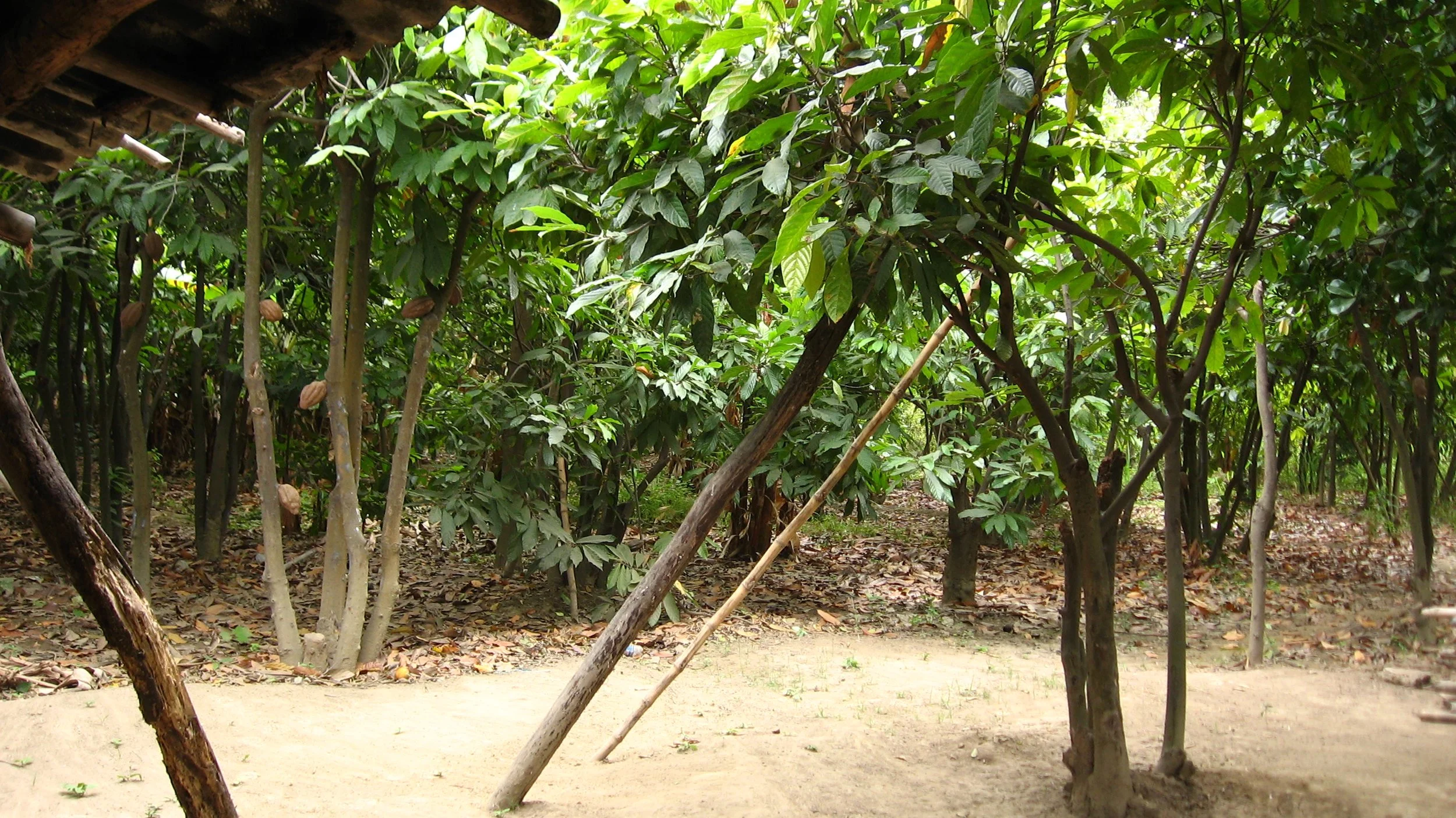 Copy of IMG_2861.JPG