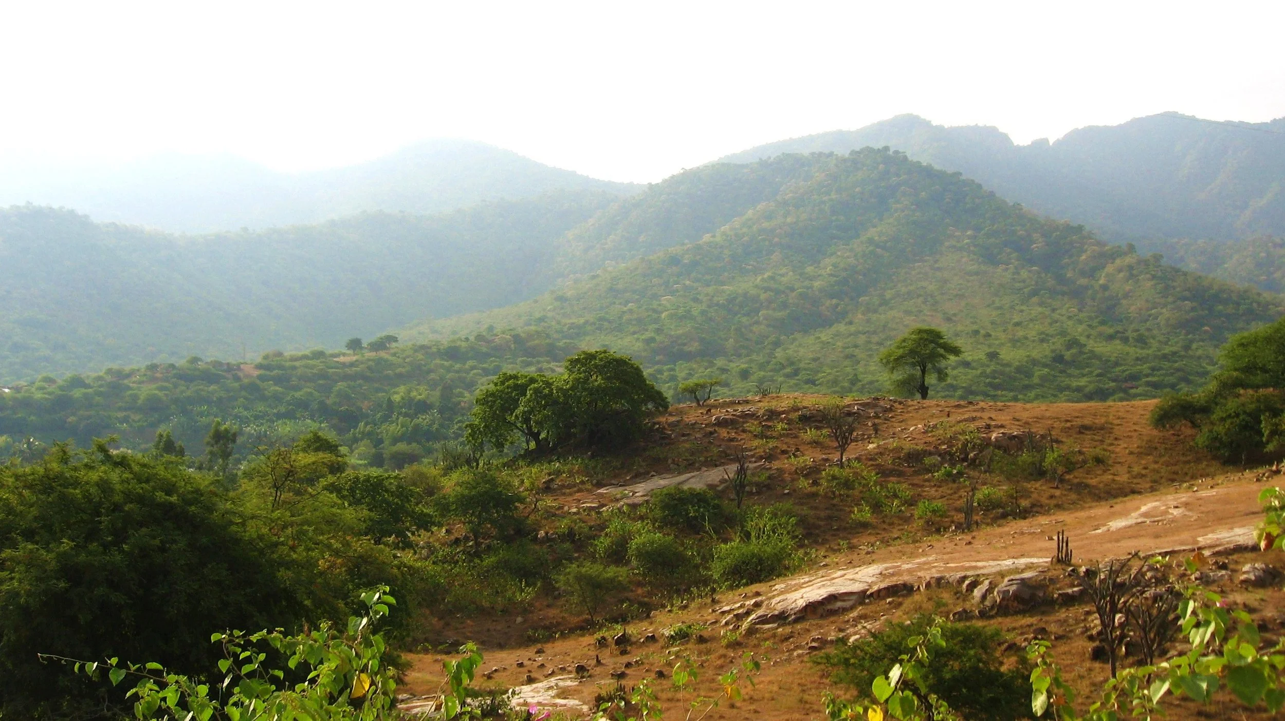 Copy of IMG_2200.JPG