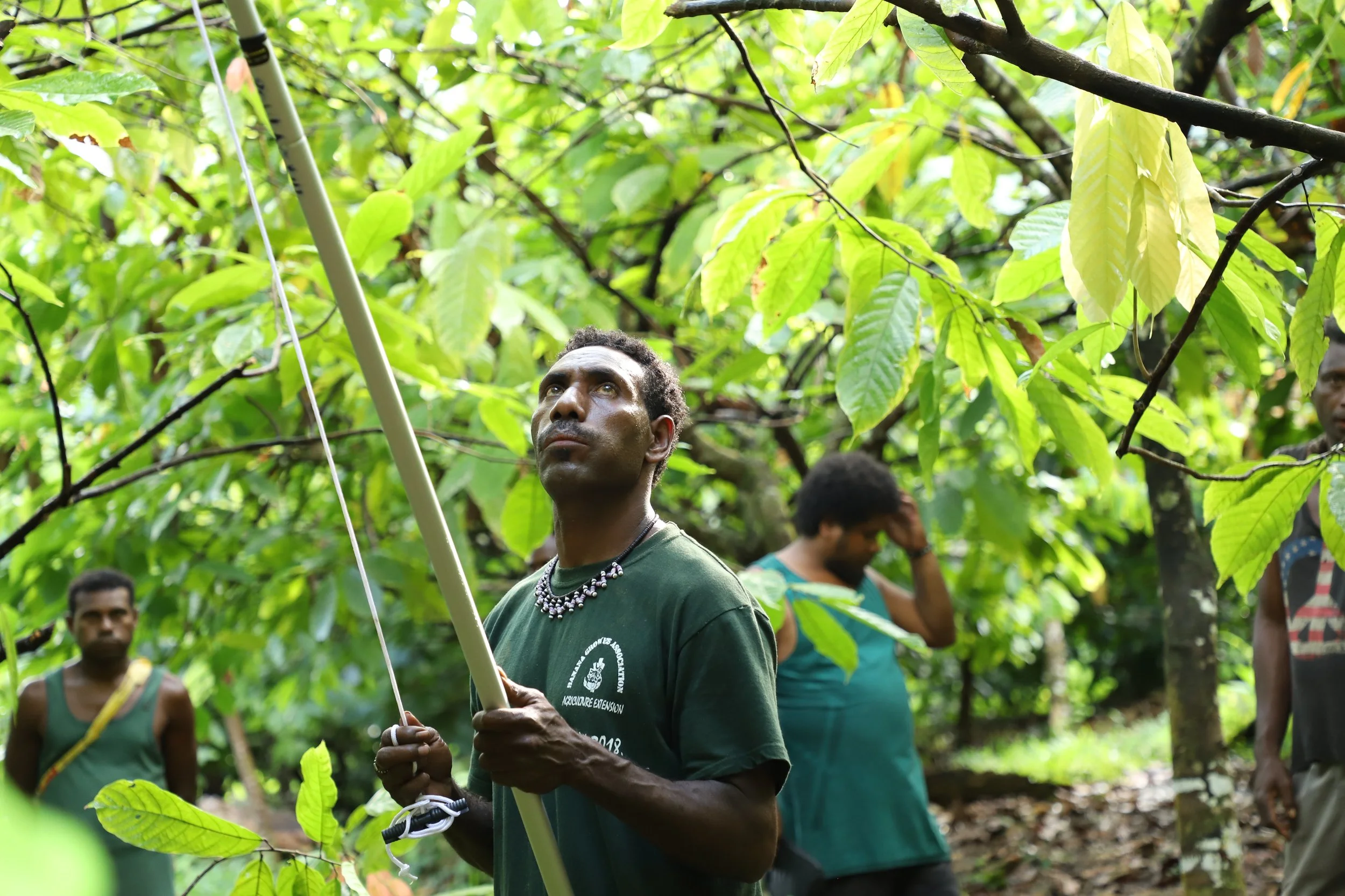 Copy of IMG_0461.JPG