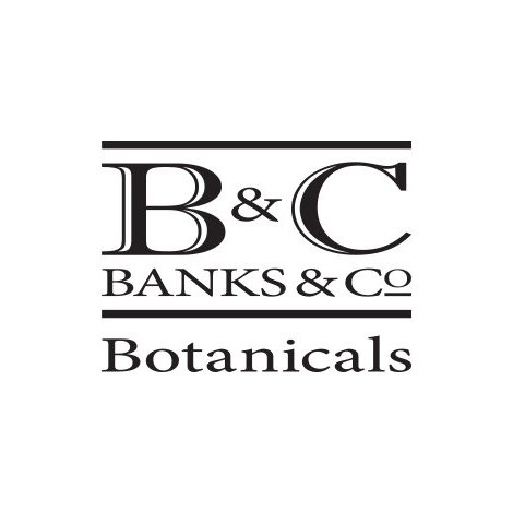 Banks & Co.jpg