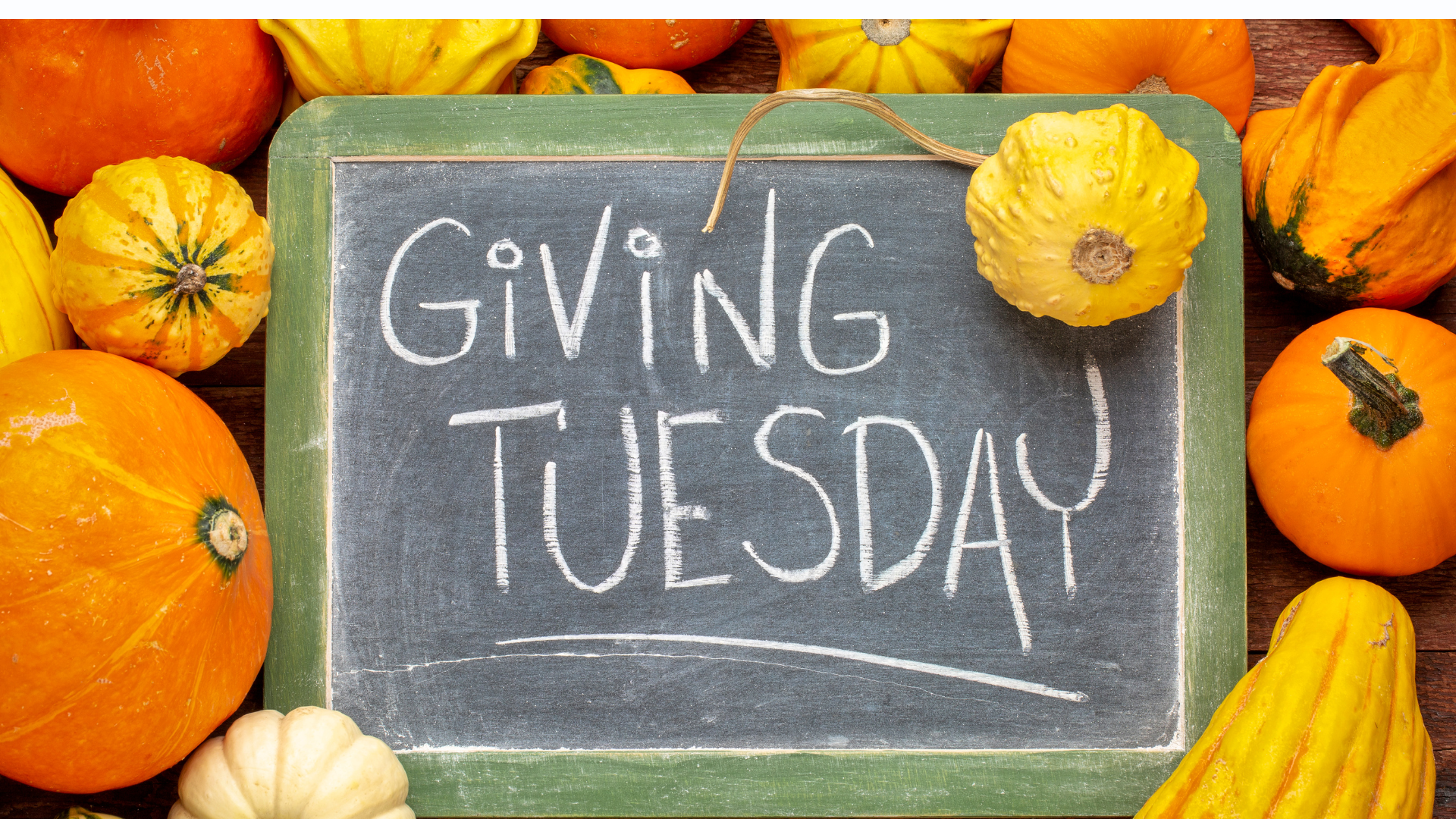From Giving Tuesday to a Year-Round Mission