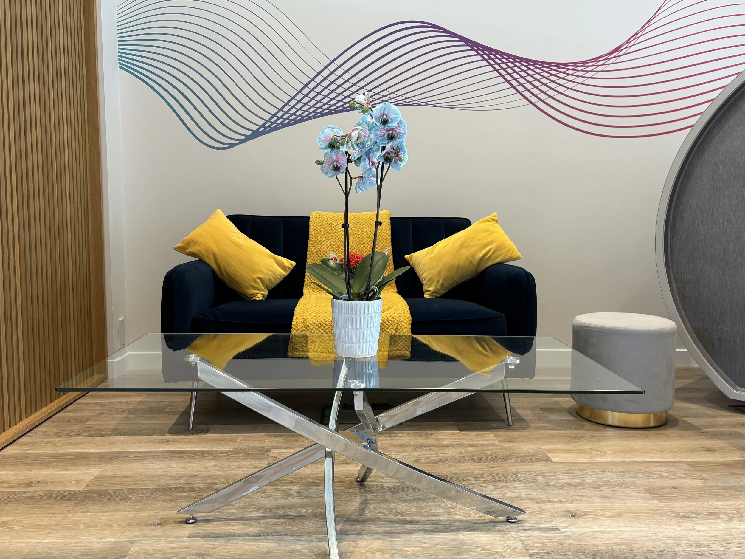 Revive Membership Changes – What You Need to Know
