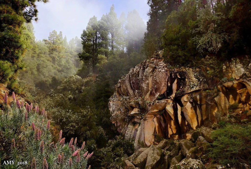 natural geological curiosity on the way to Teide