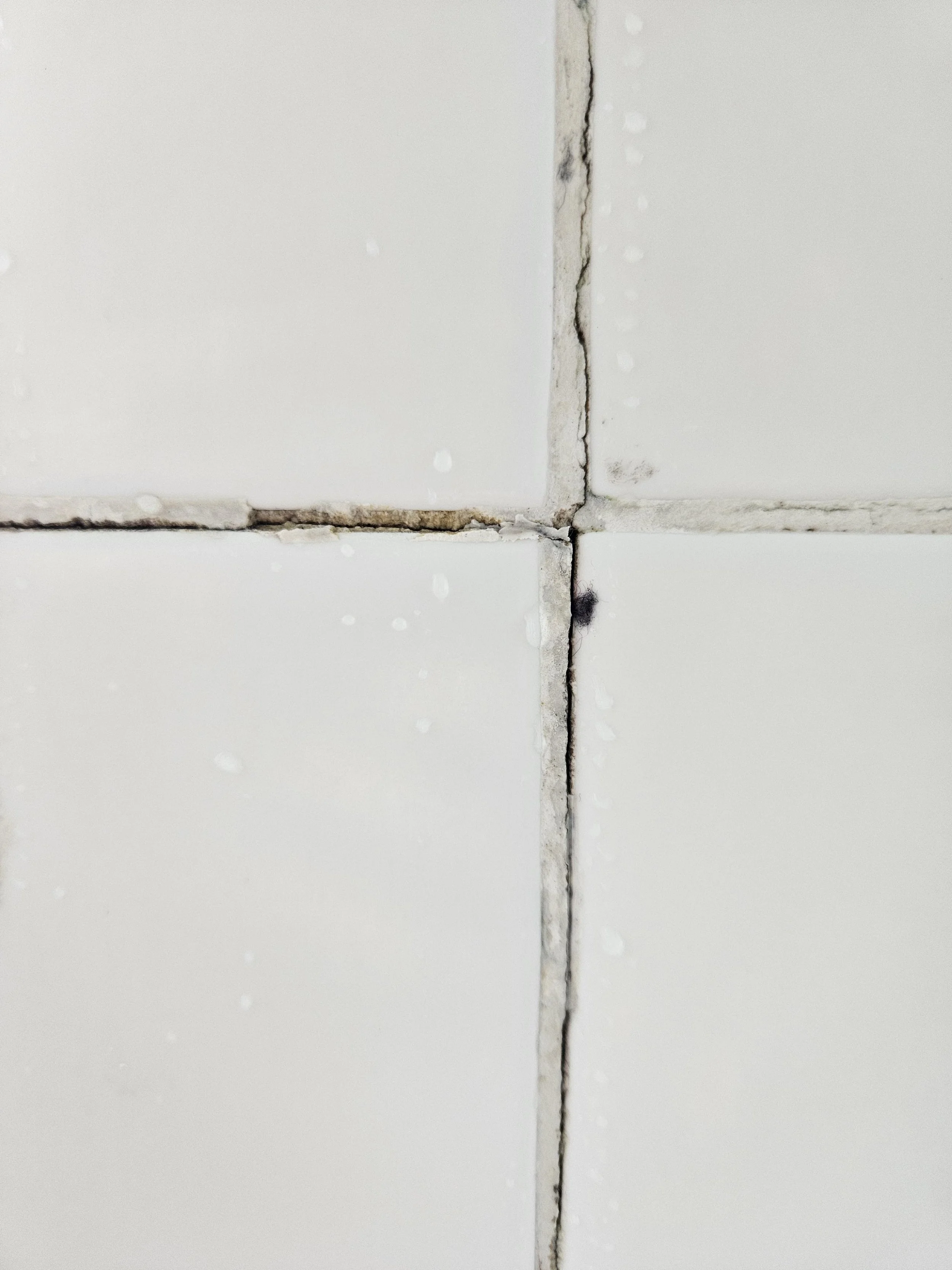 Cracked grout and perished silicone showing early waterproofing failure in a shower recess