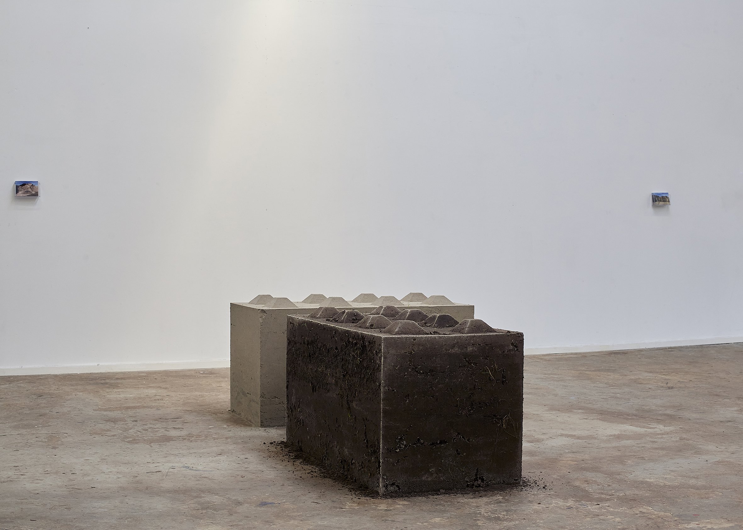 _A3A4951 copy_sml.jpg