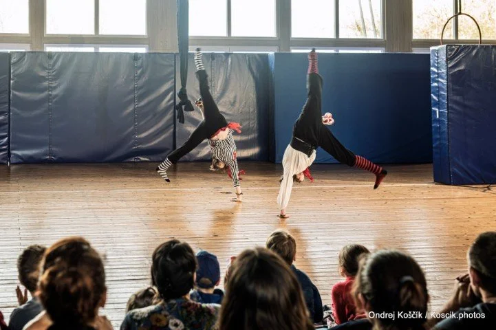 Cirkuskus Troupe 5.jpg