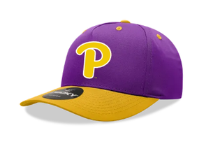 Plum Baseball Hat