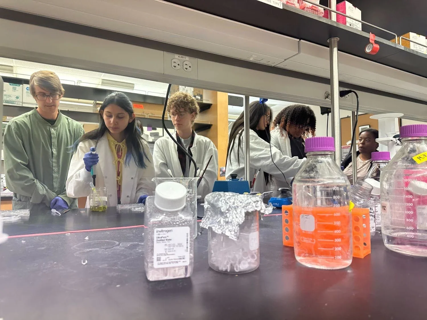 Lab Life — Zelikowsky Lab