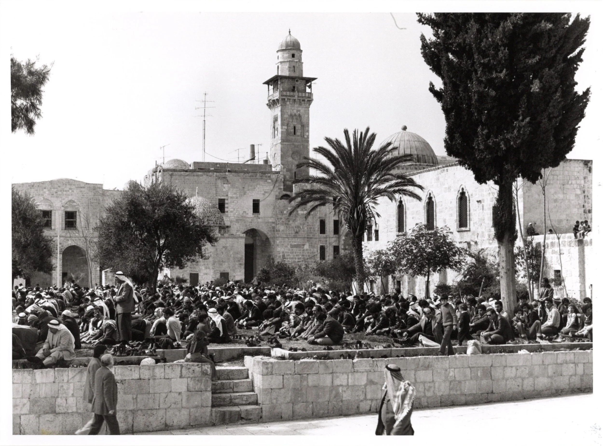 Al Aqsa_Website#64a_300.jpg