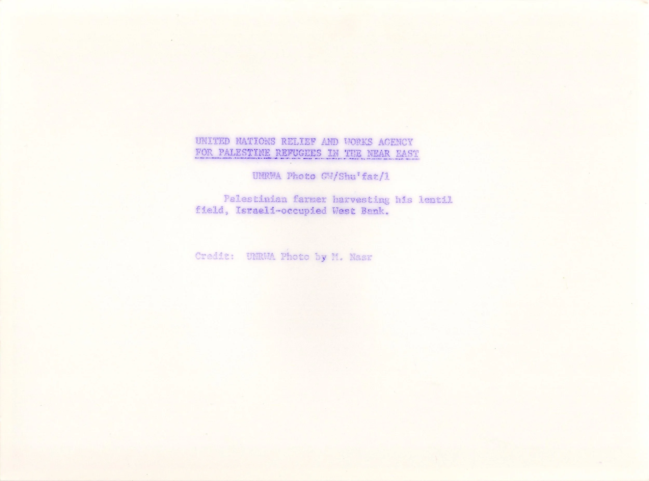 Shu'fat Camp_Website#29b_300.jpg