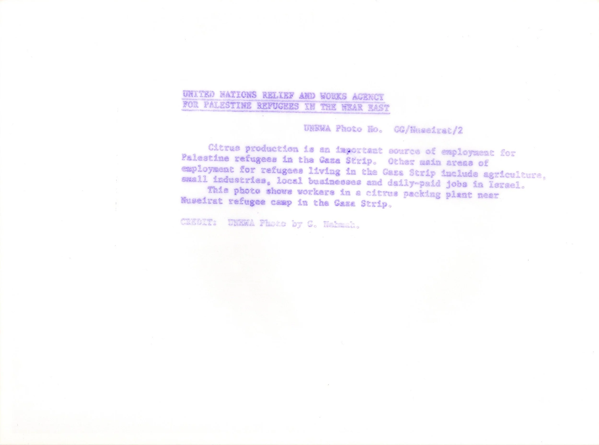 Nuseiret Camp_Website#107b_300.jpg