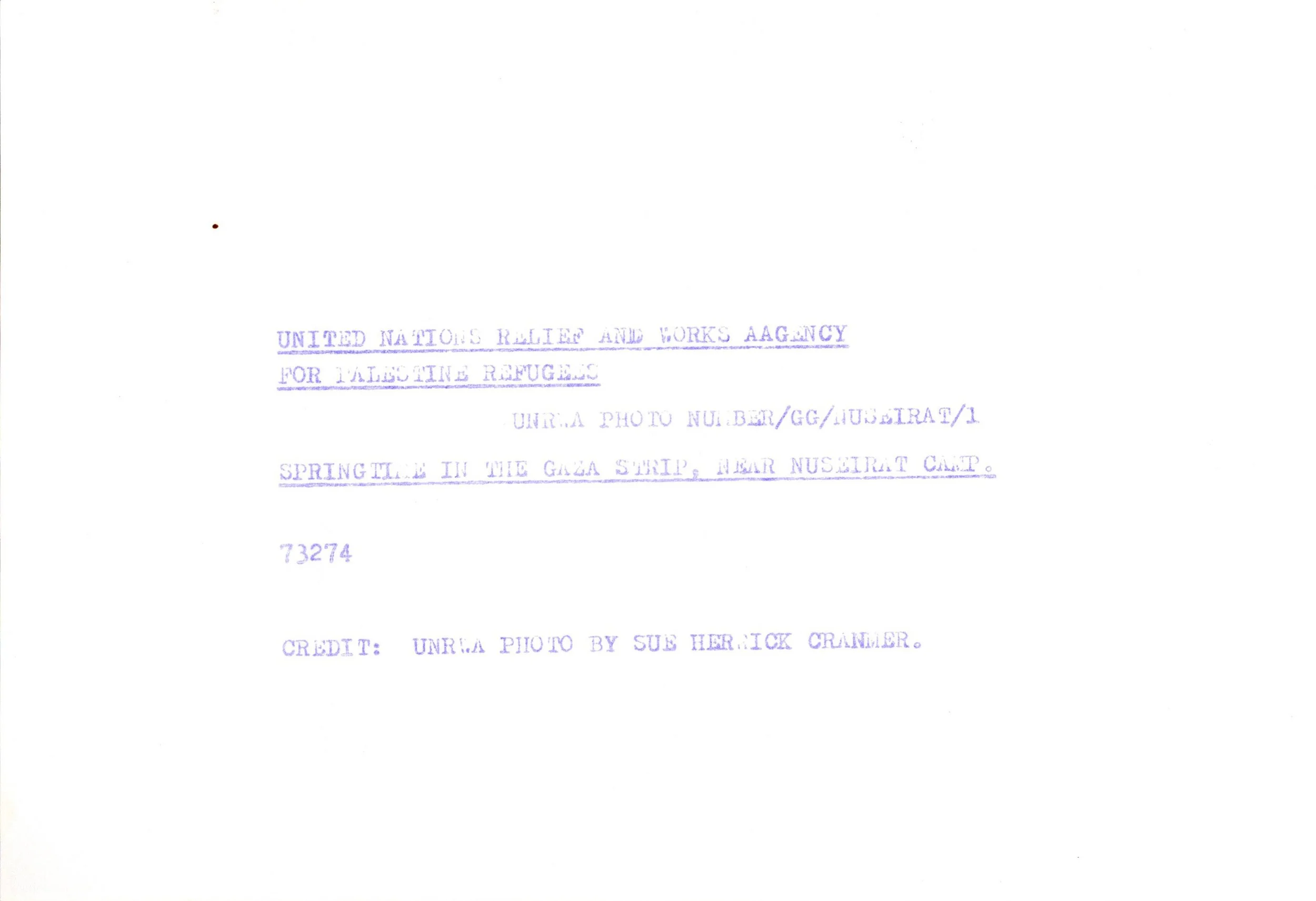 Nuseiret Camp_Website#115b_300.jpg