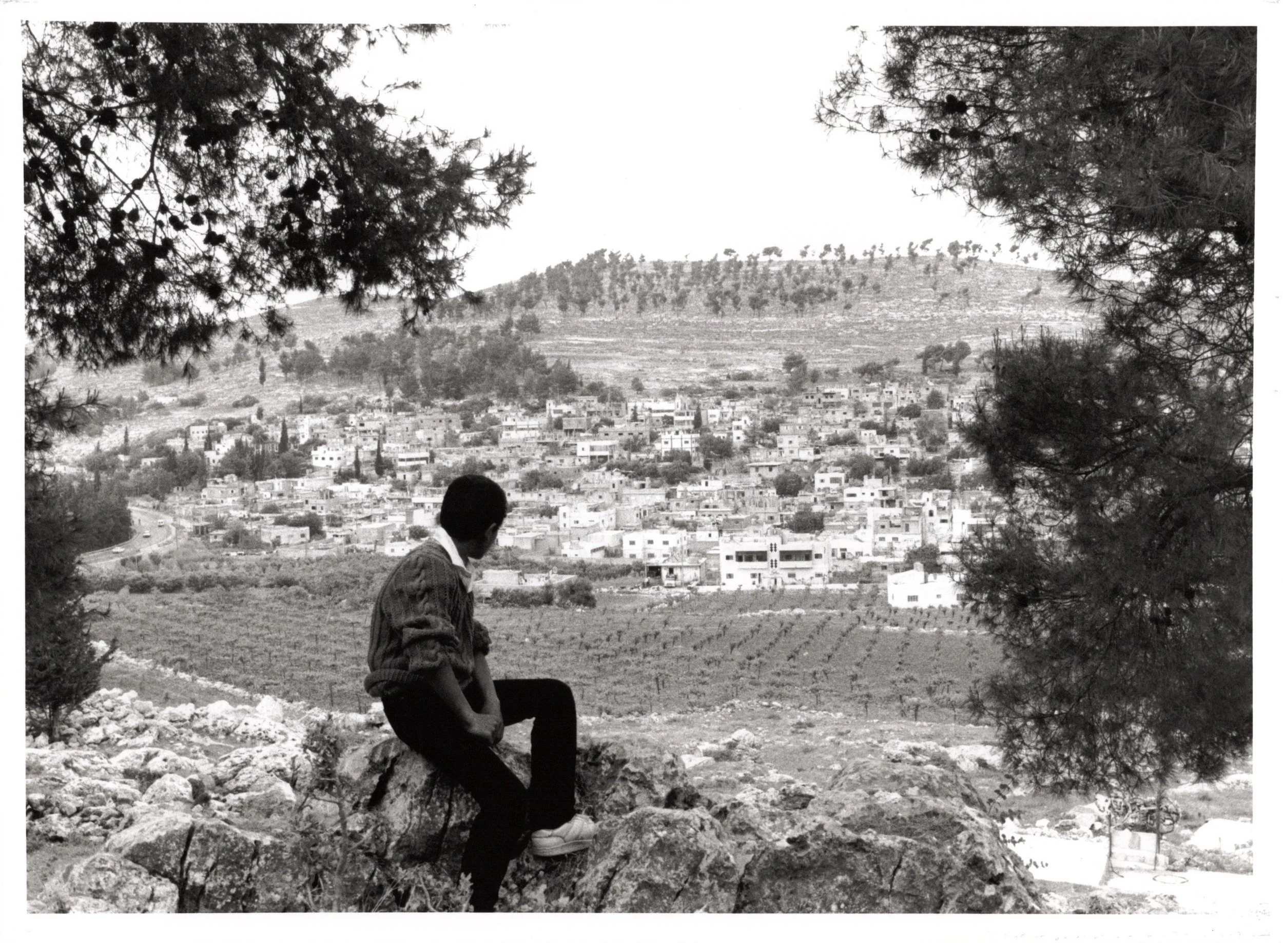 Arroub Camp_Website#100a_300.jpg