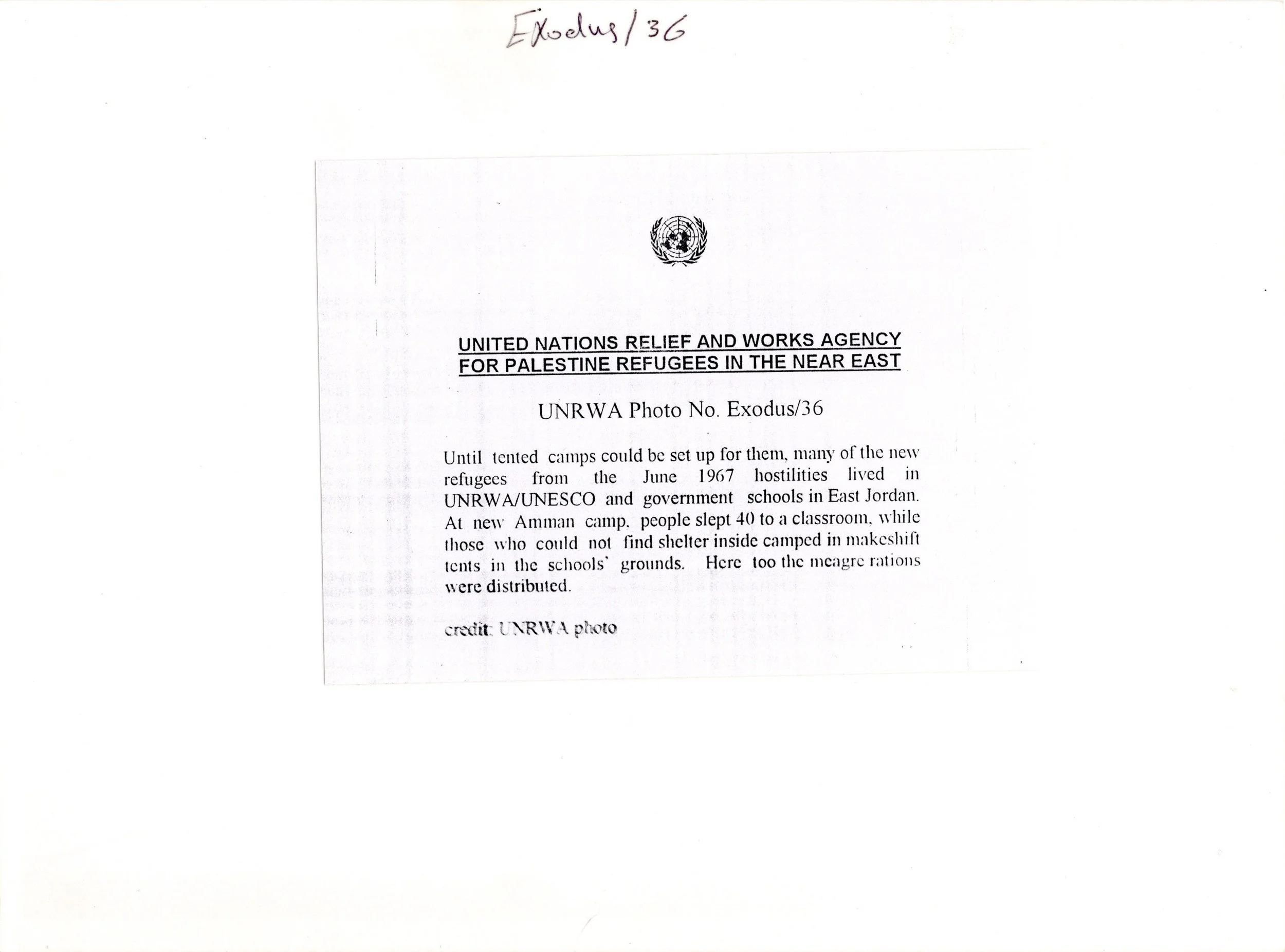 Amman Camp_Website#39b_300.jpg