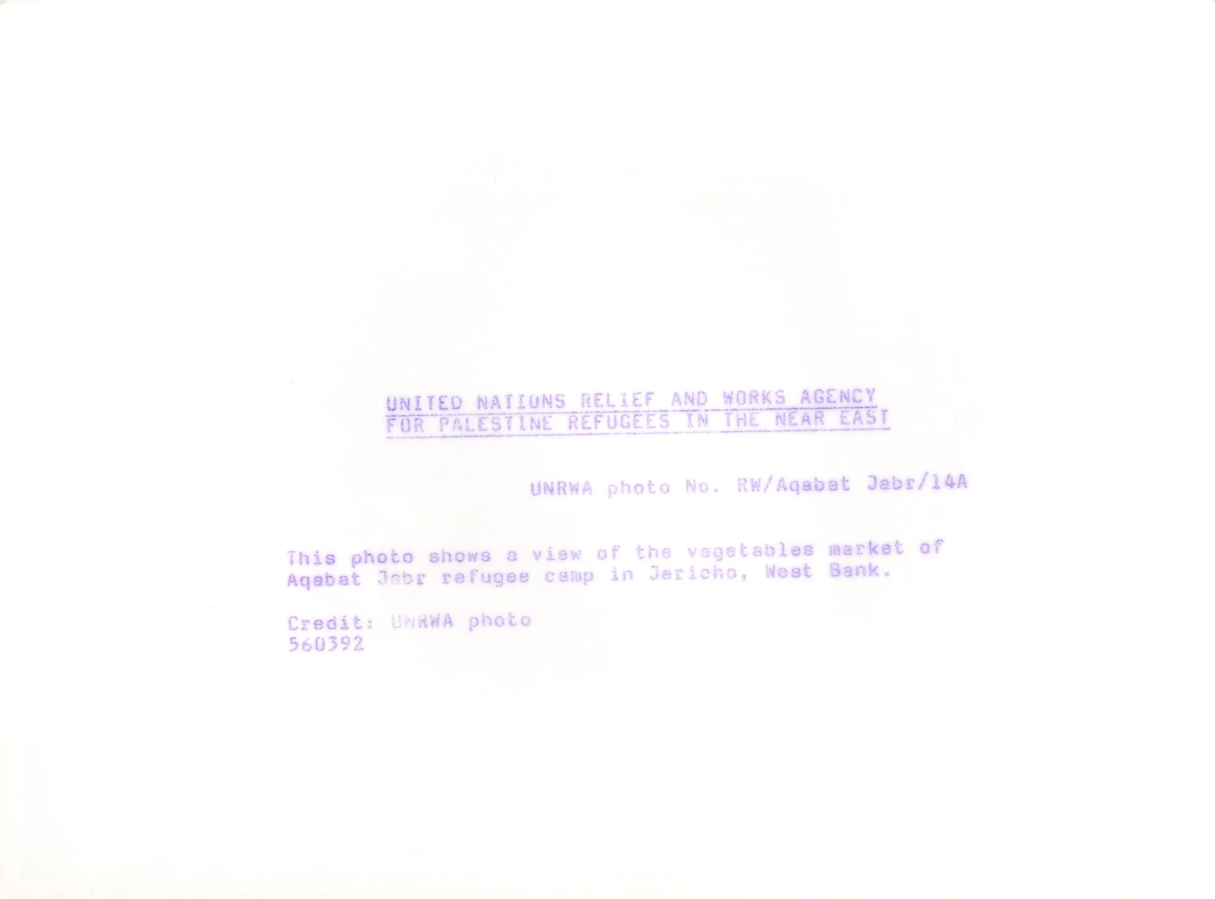 Aqabet Jabr_Website#84b_300.jpg
