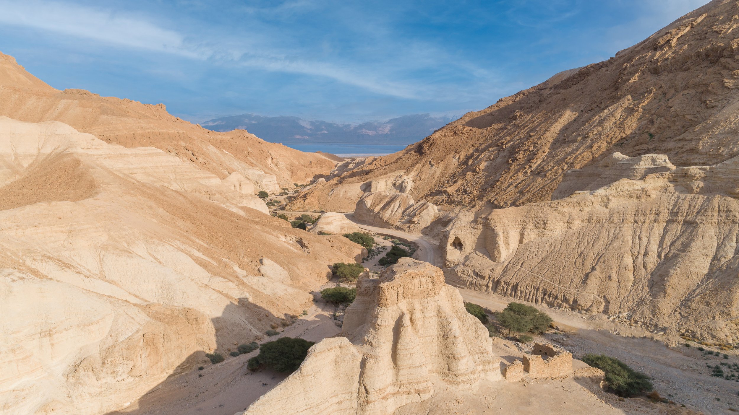 DJI_0142-1-1.jpg