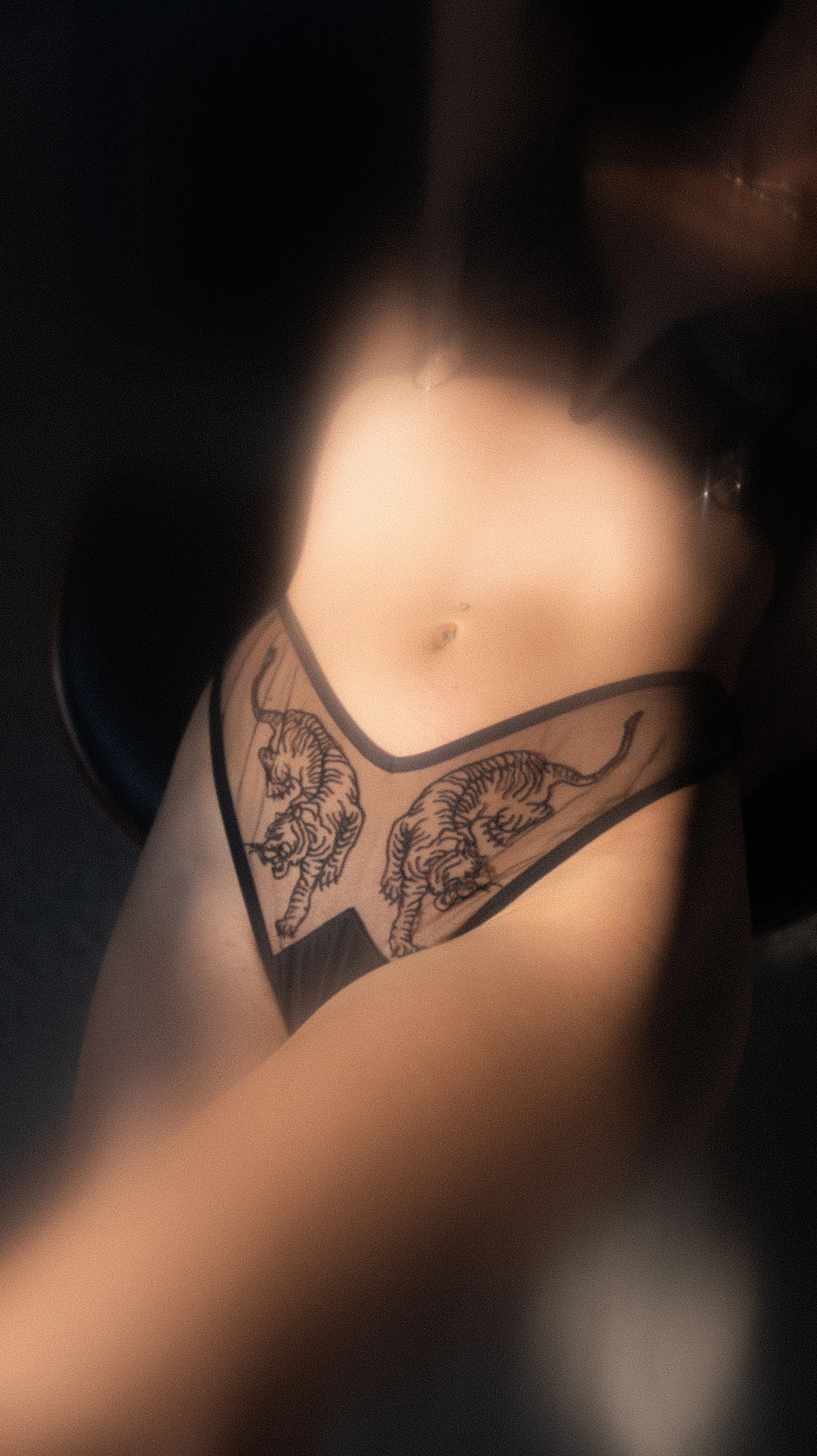 Person wearing sheer black lingerie with tiger embroidery on hips.