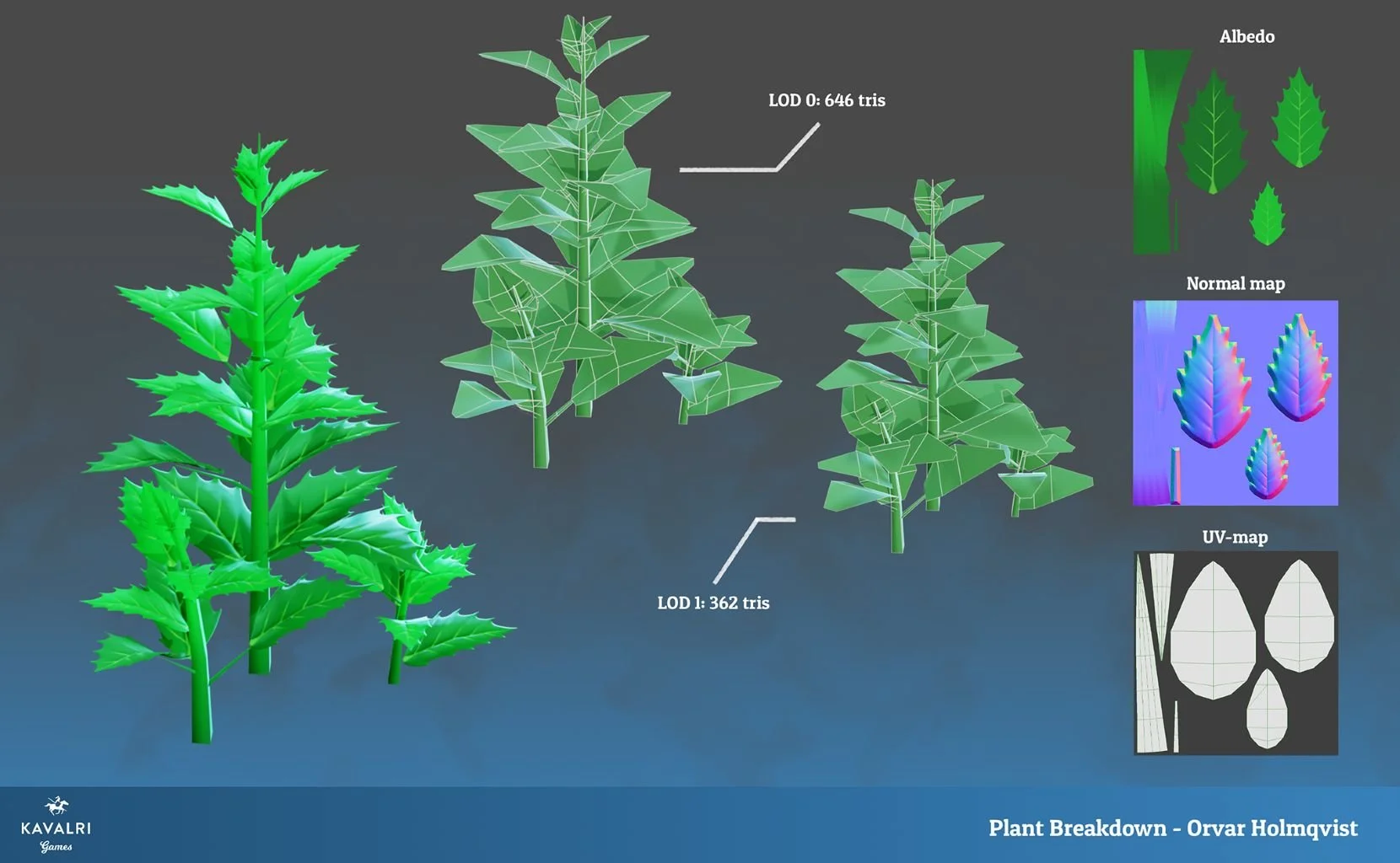 plant_breakdown.jpg