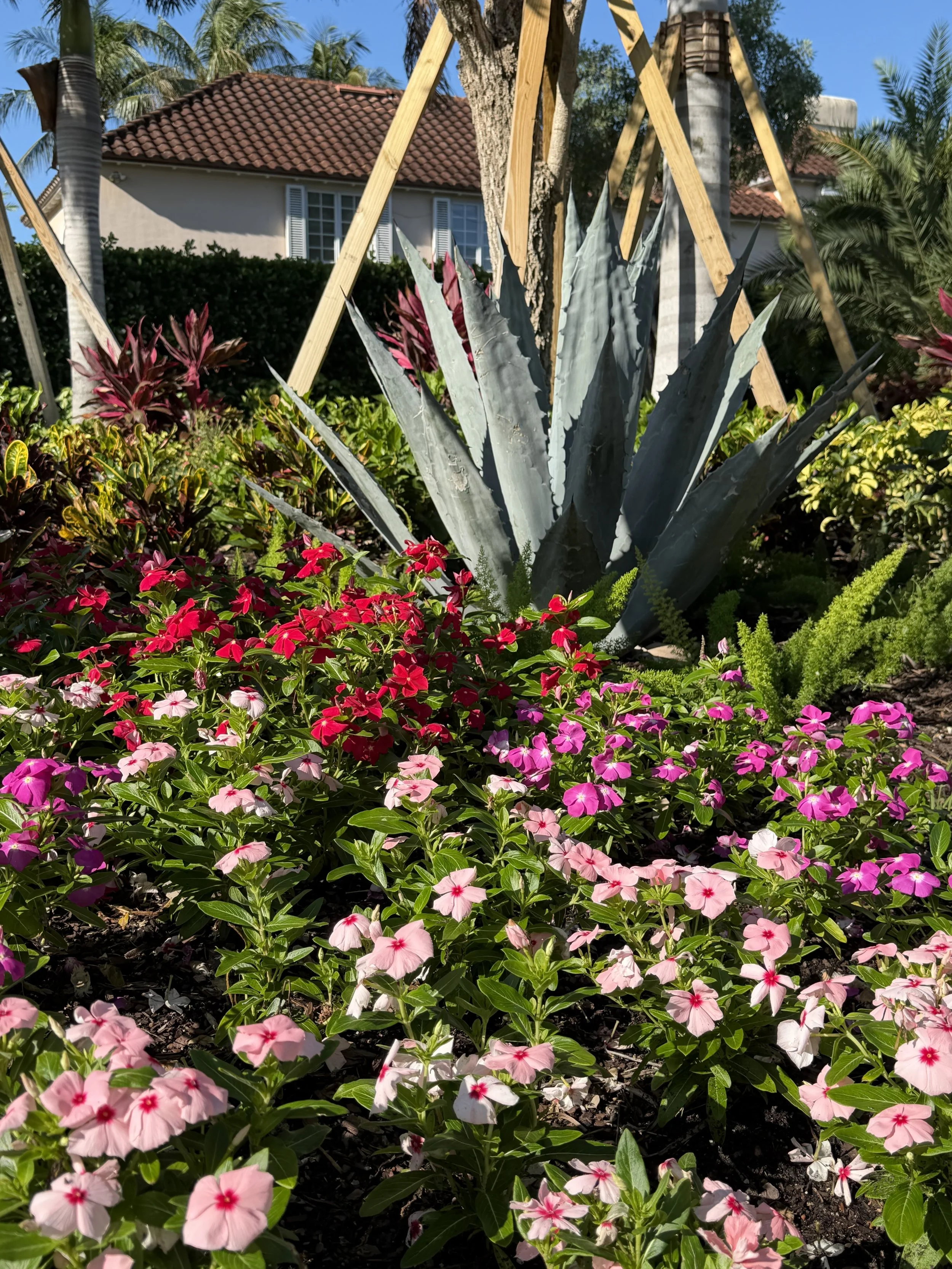 IMG_0255.jpeg