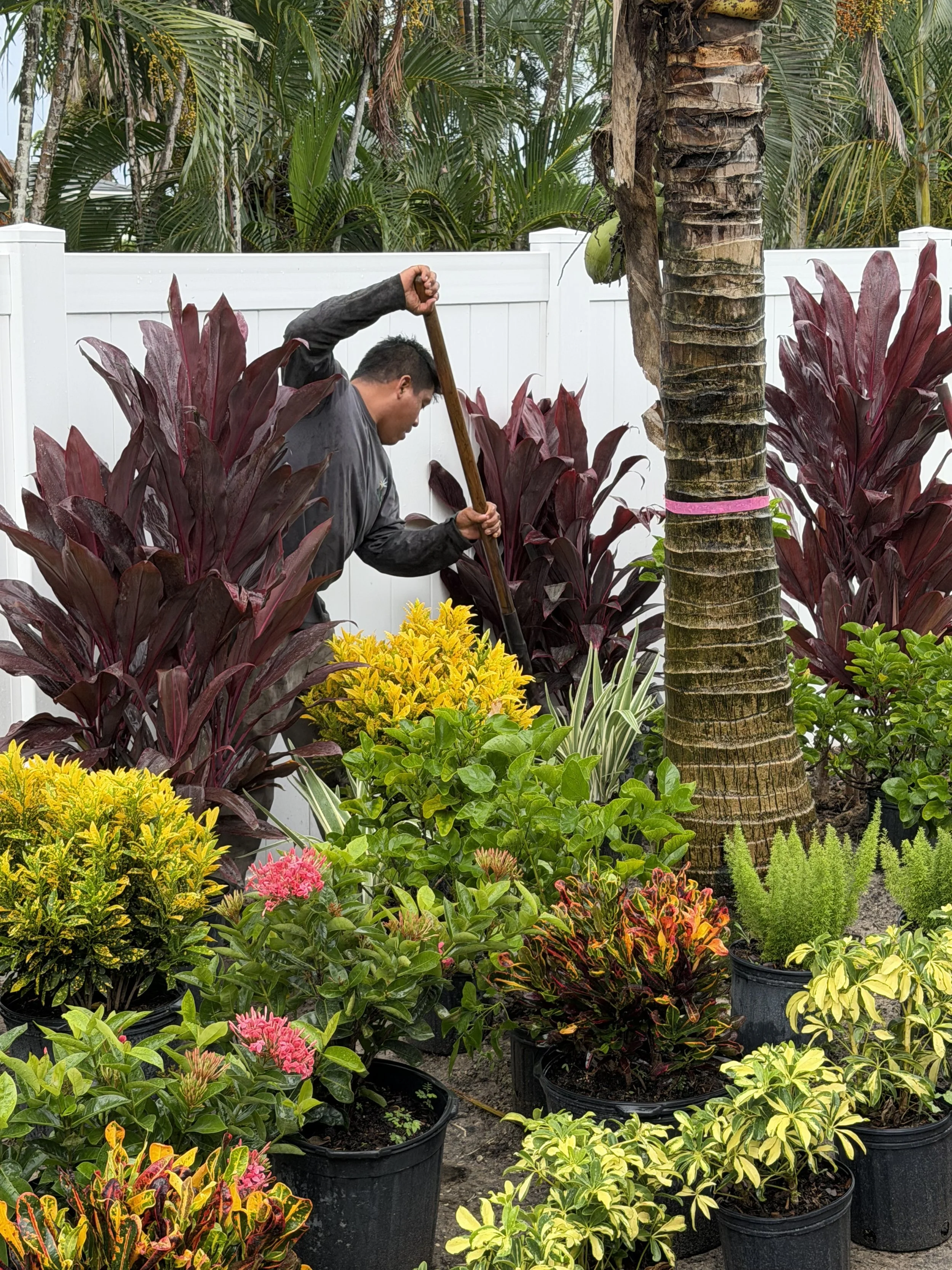 PLANT INSTALLATION
