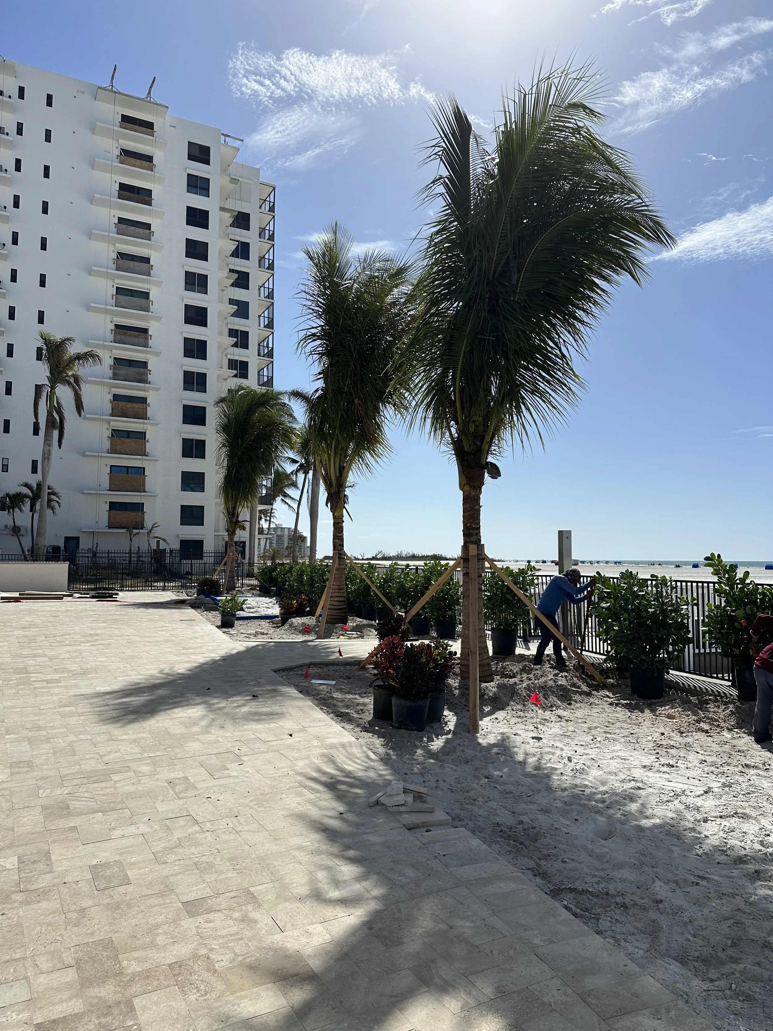 IMG_1846.jpeg
