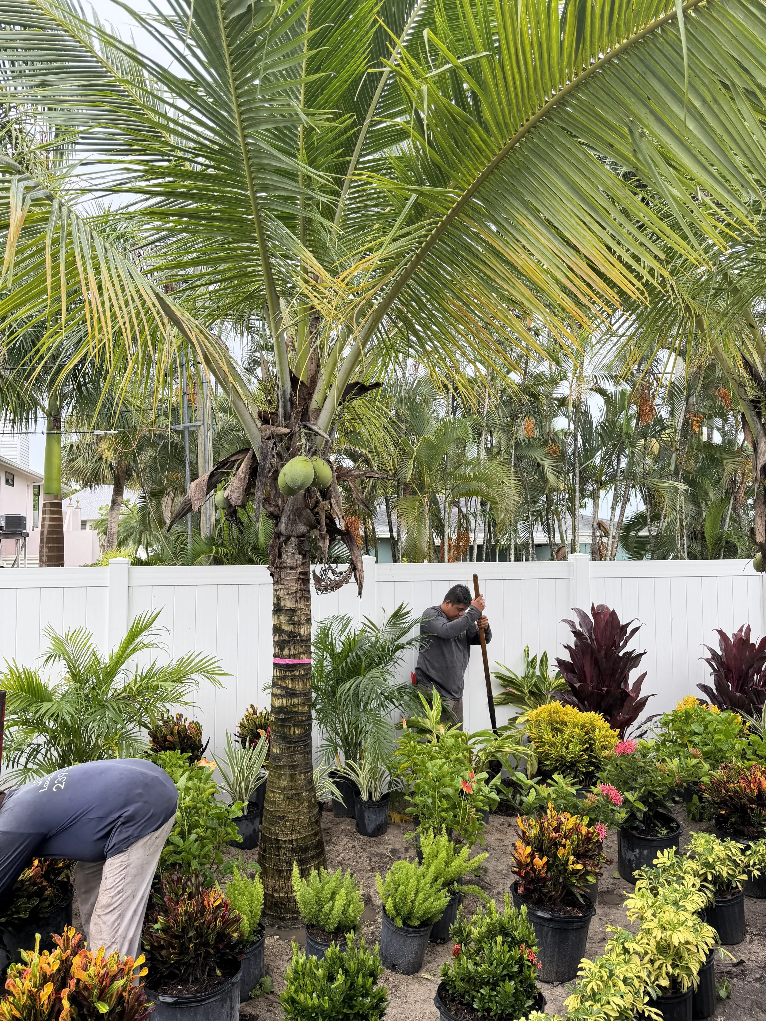 PLANT INSTALLATION