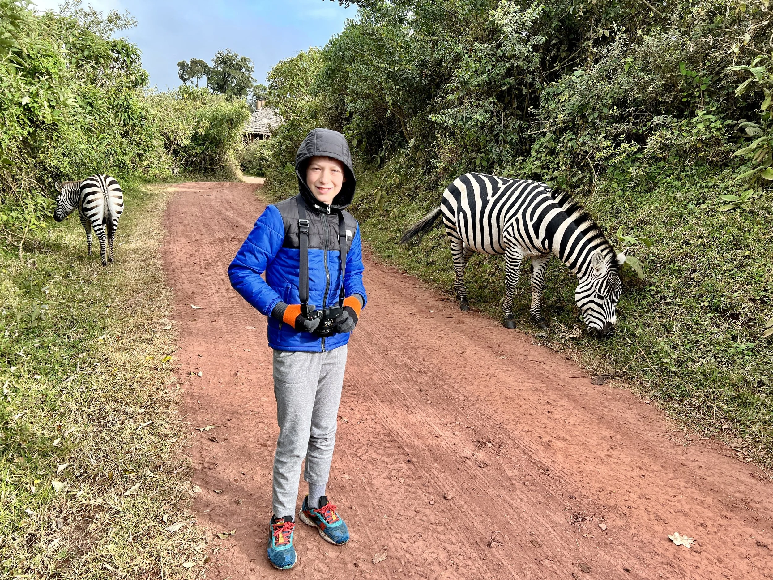 A young boy standing on a dirt path, holding a camera, with two zebras grazing nearby in a lush, green setting.