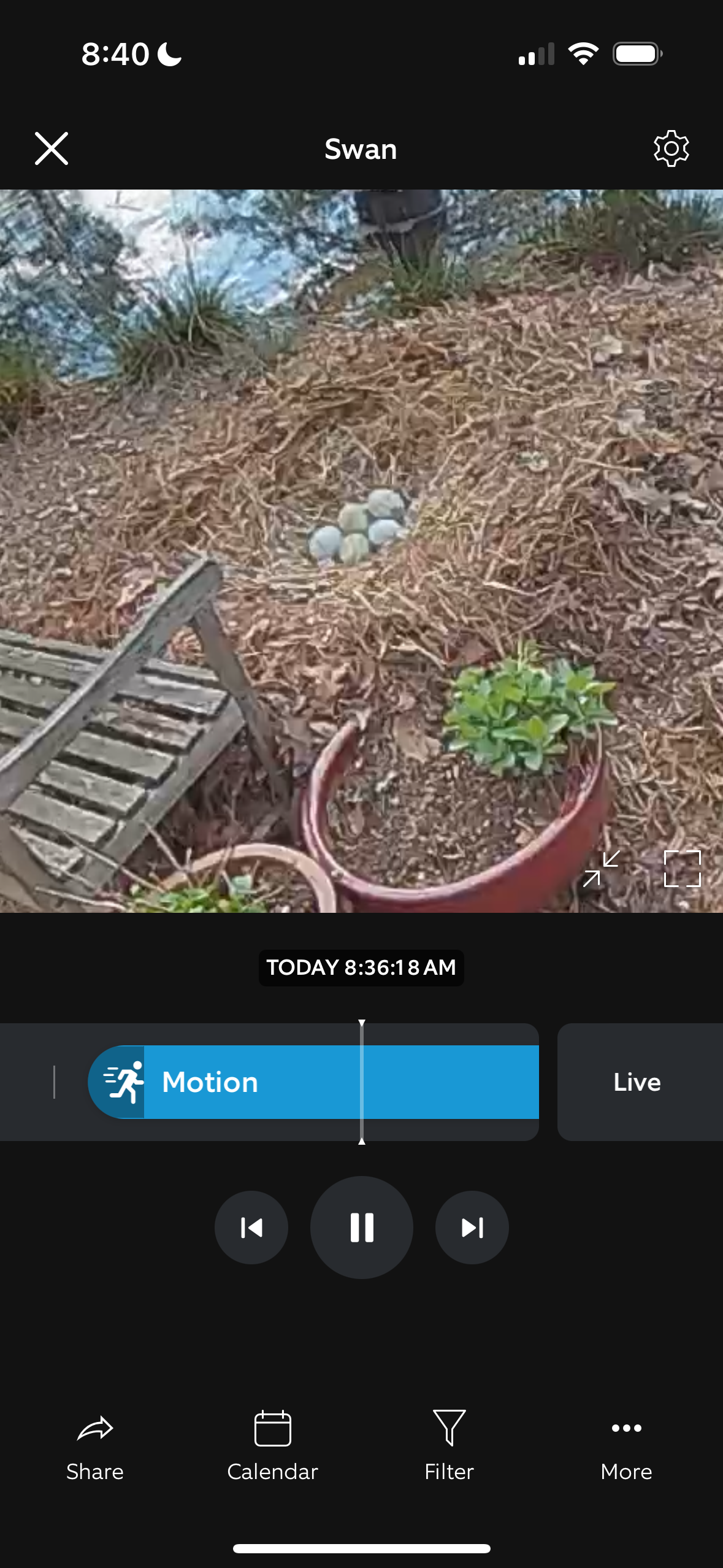 I am going to be a swan-ma!