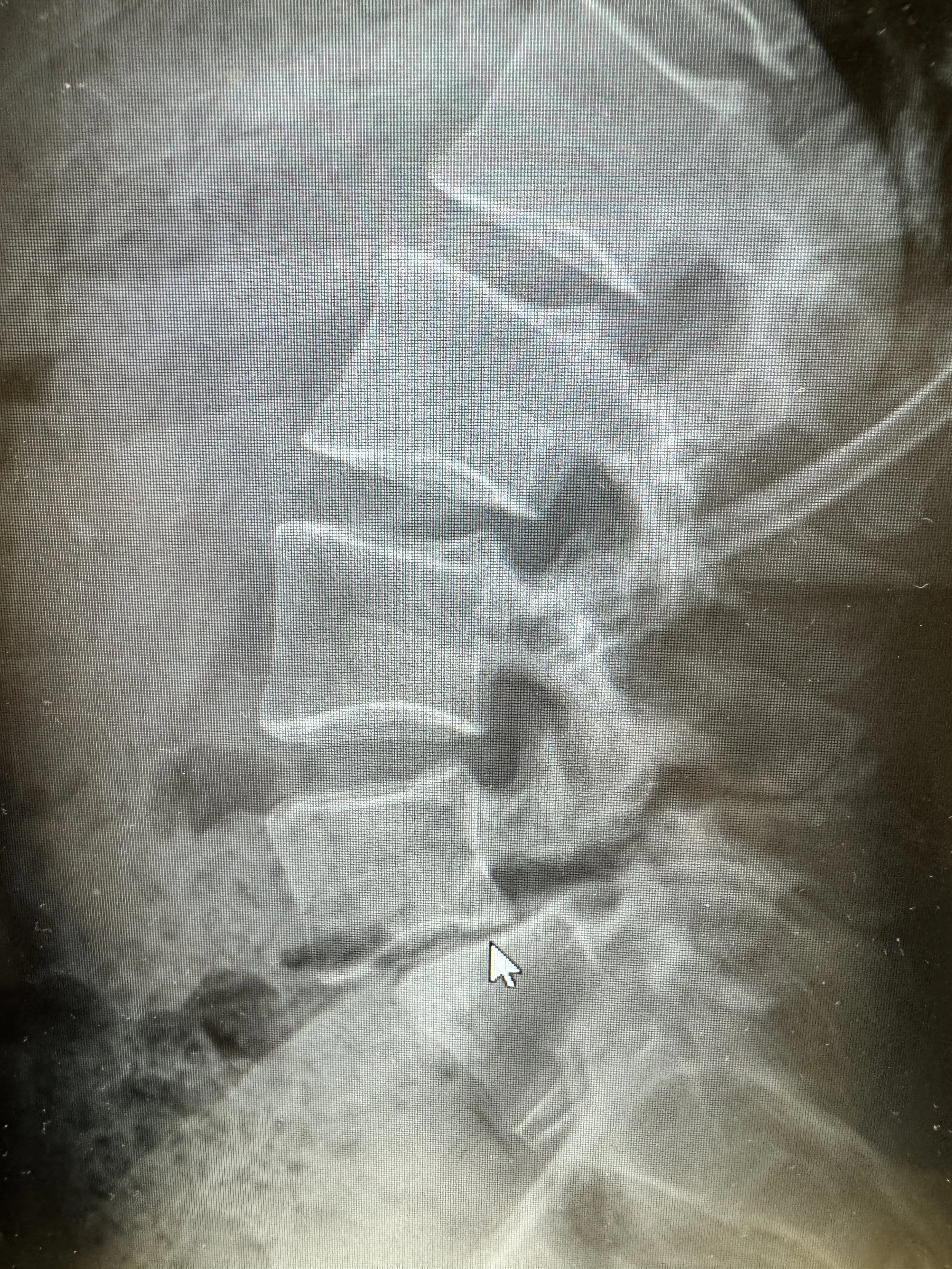 Backbend.JPG