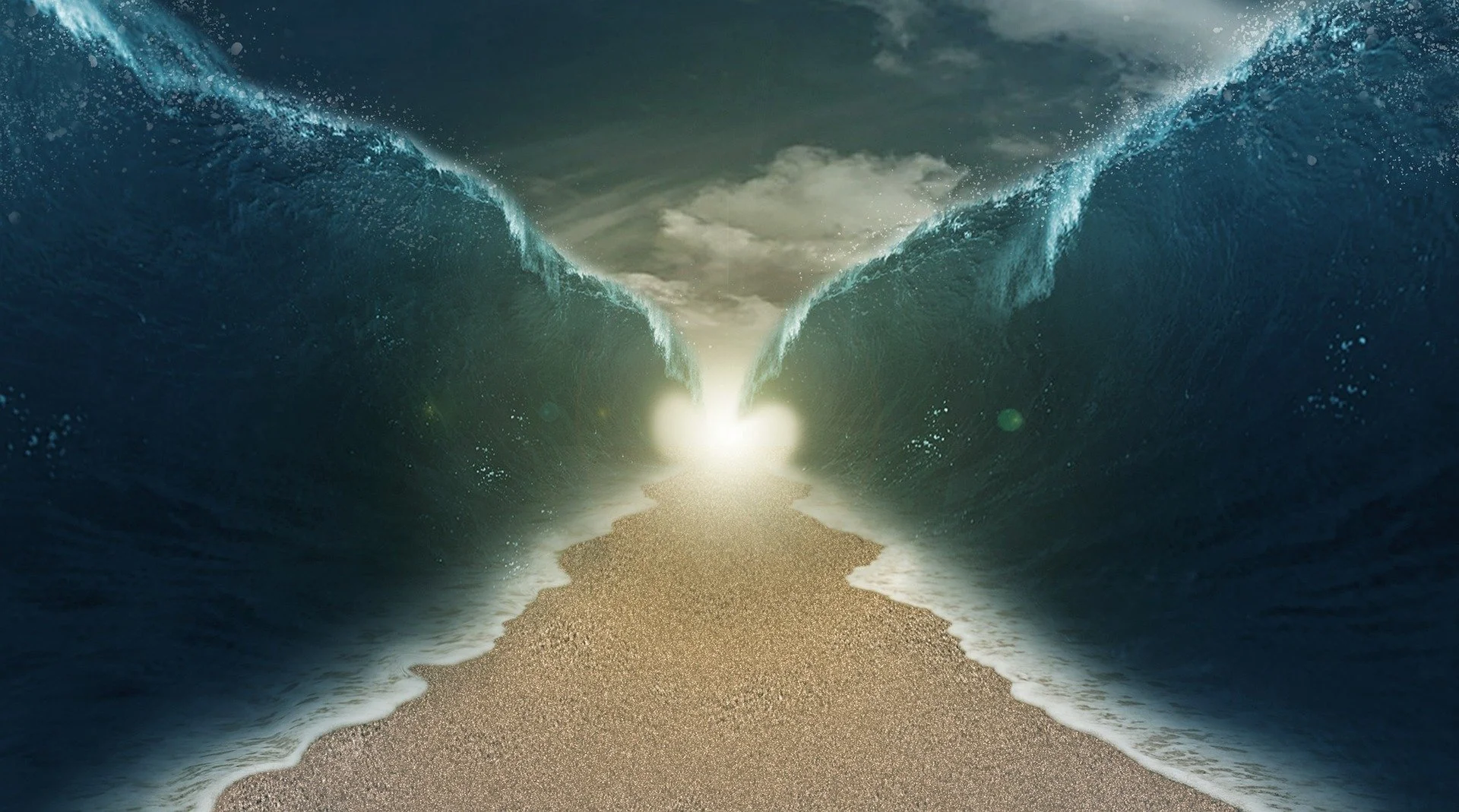 Bible In a Year: Exodus, Leviticus and Psalms