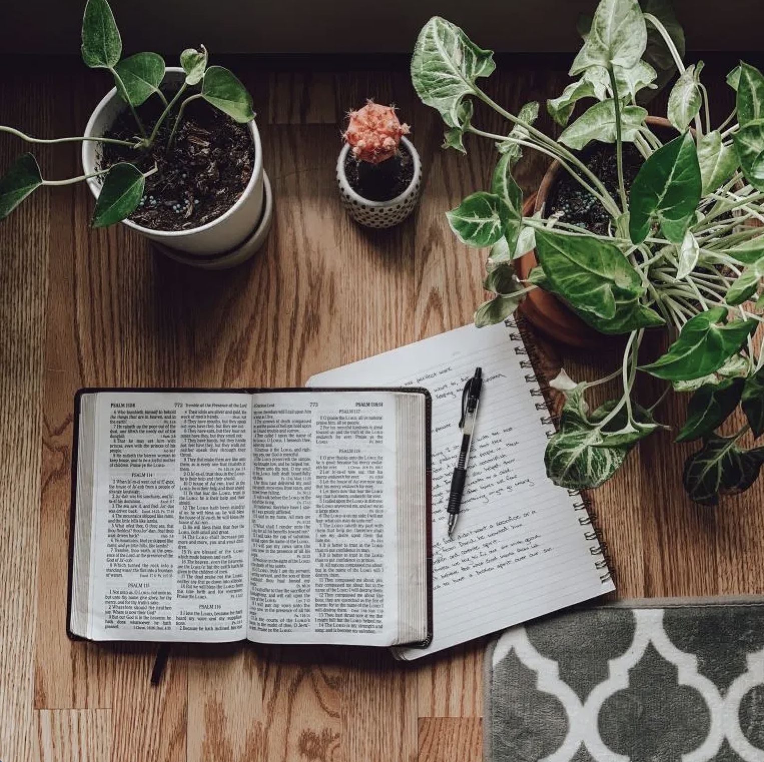 Bible in a Year: The Royal Kingdom