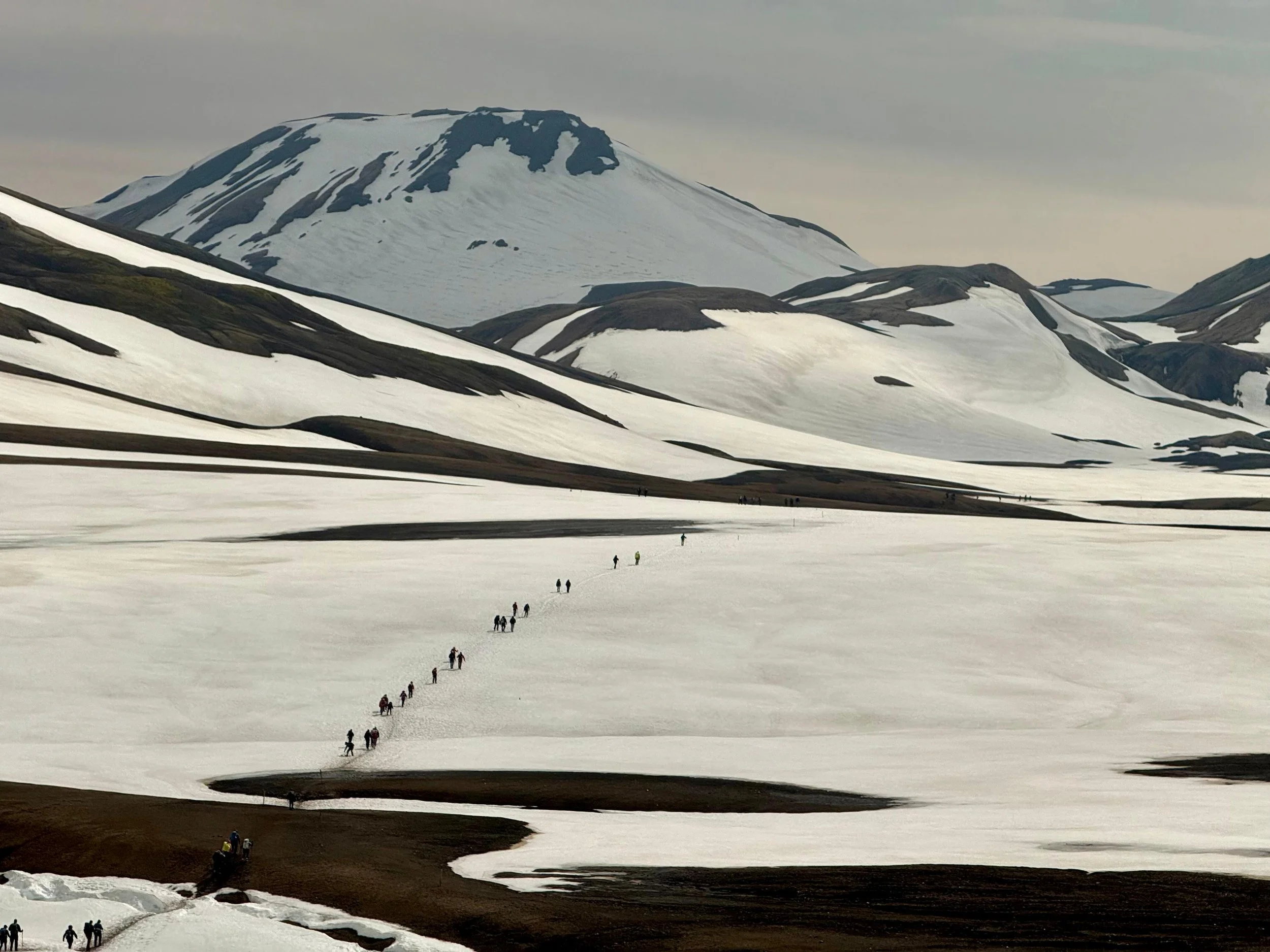 Strive Iceland
