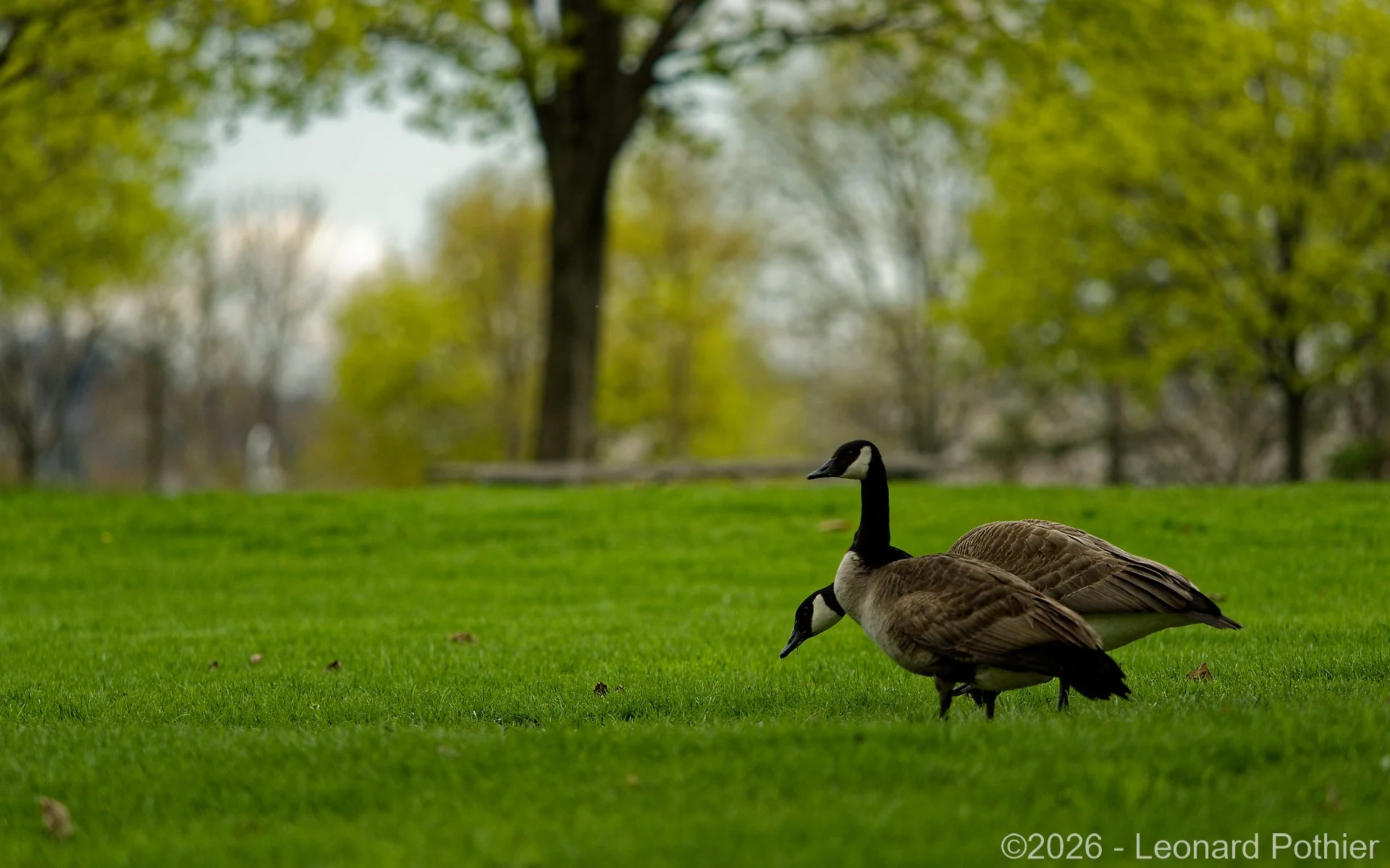 P5010461_DxO_1920.jpg