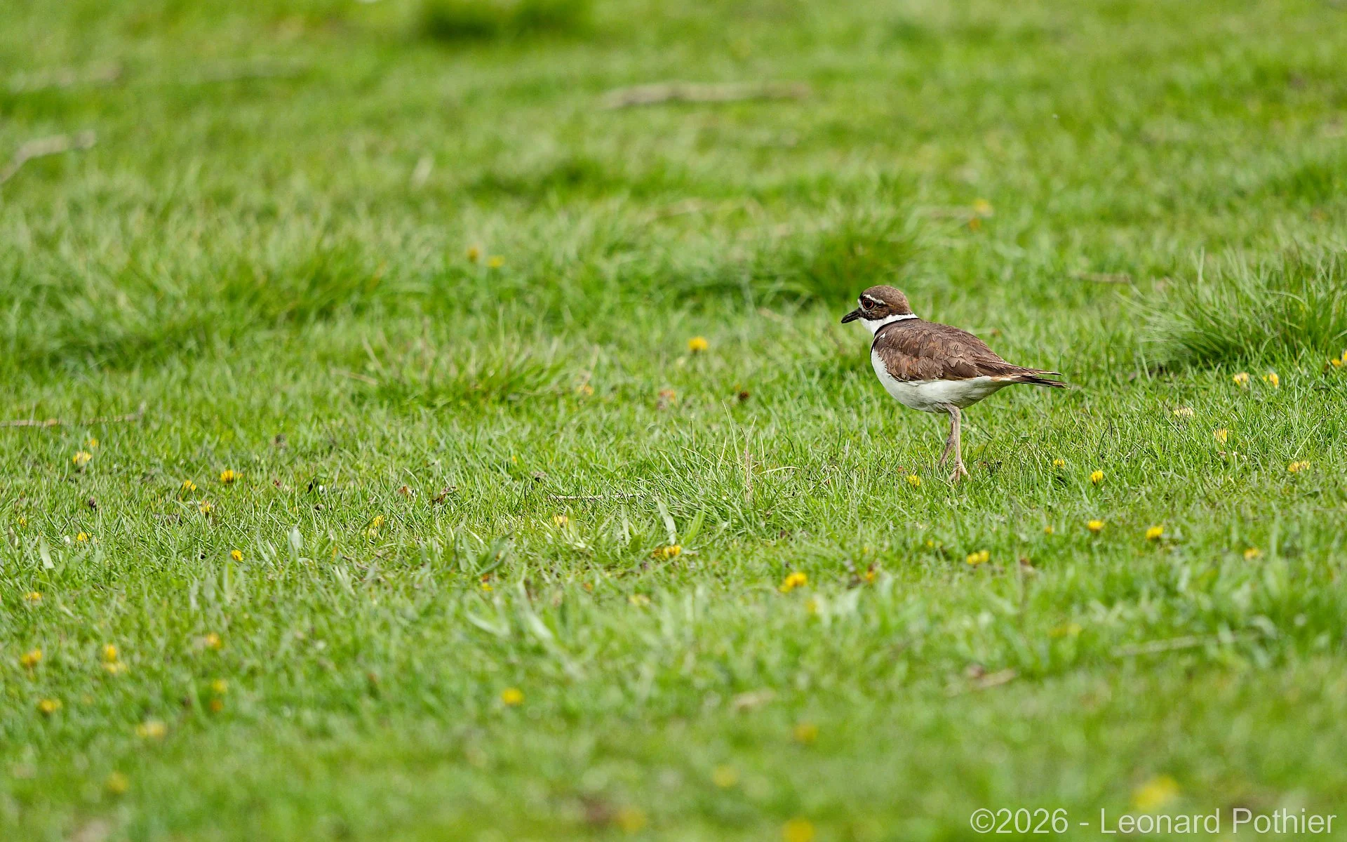 P5010412_DxO_1920.jpg