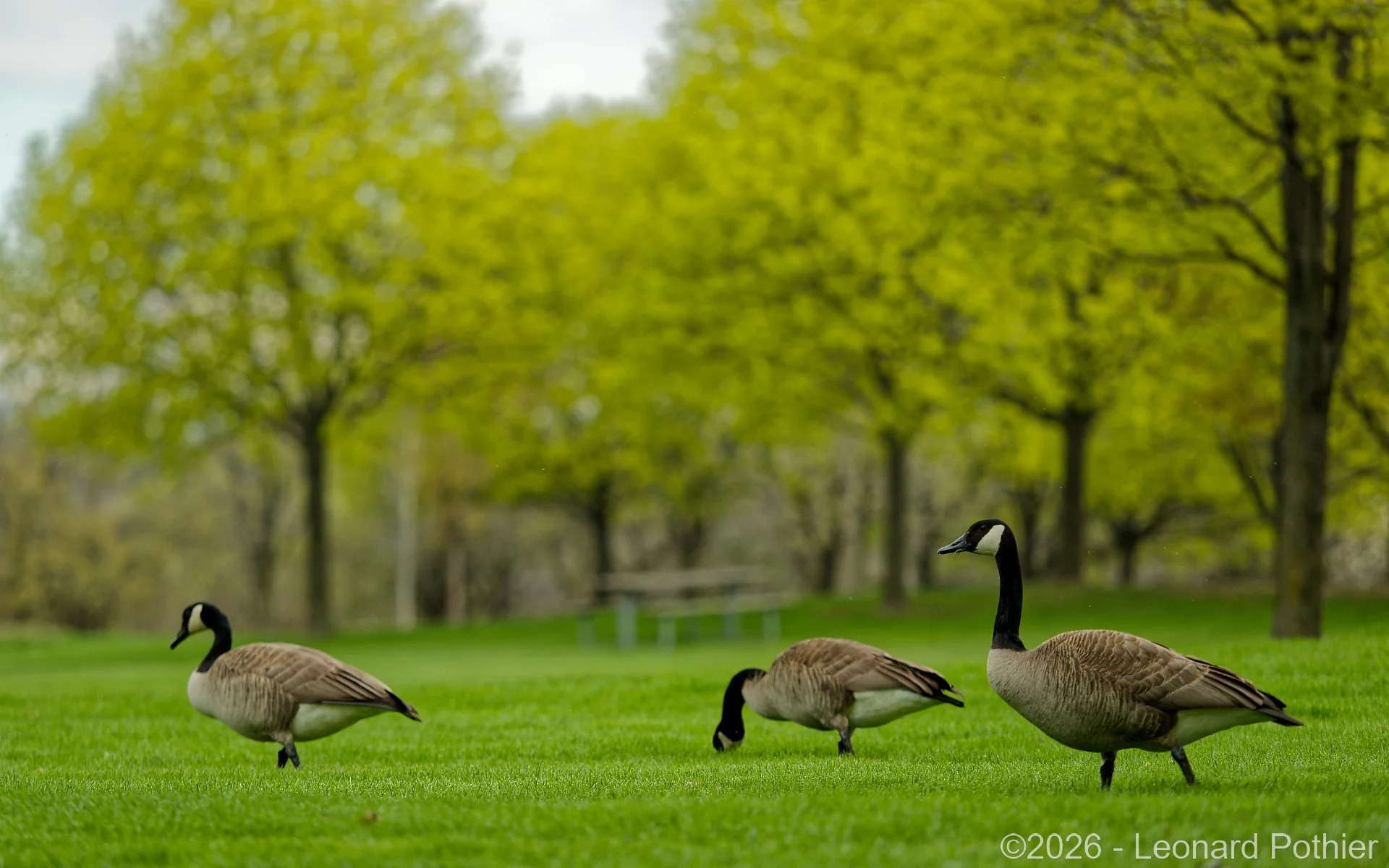P5010466_DxO_1920.jpg