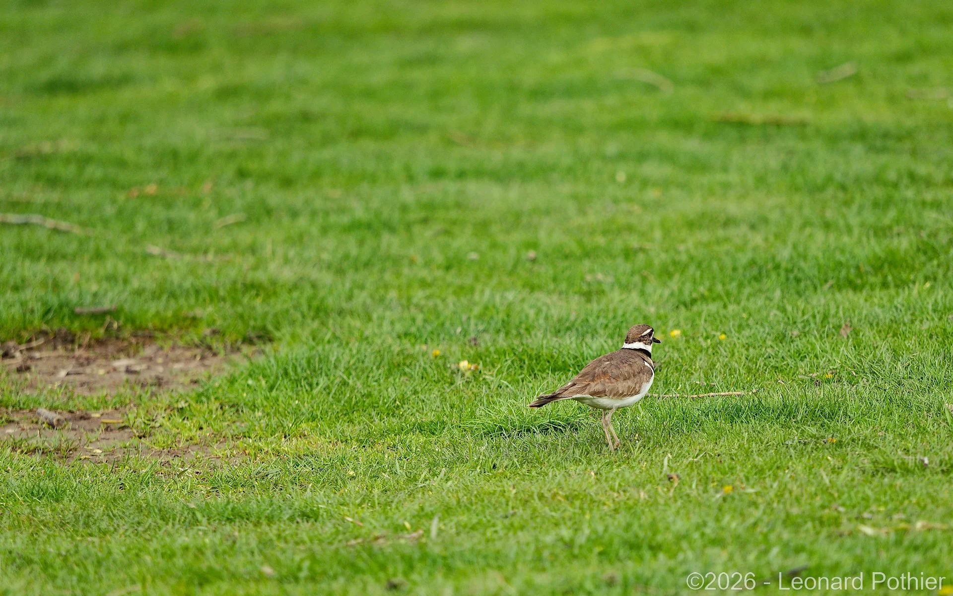 P5010422_DxO_1920.jpg