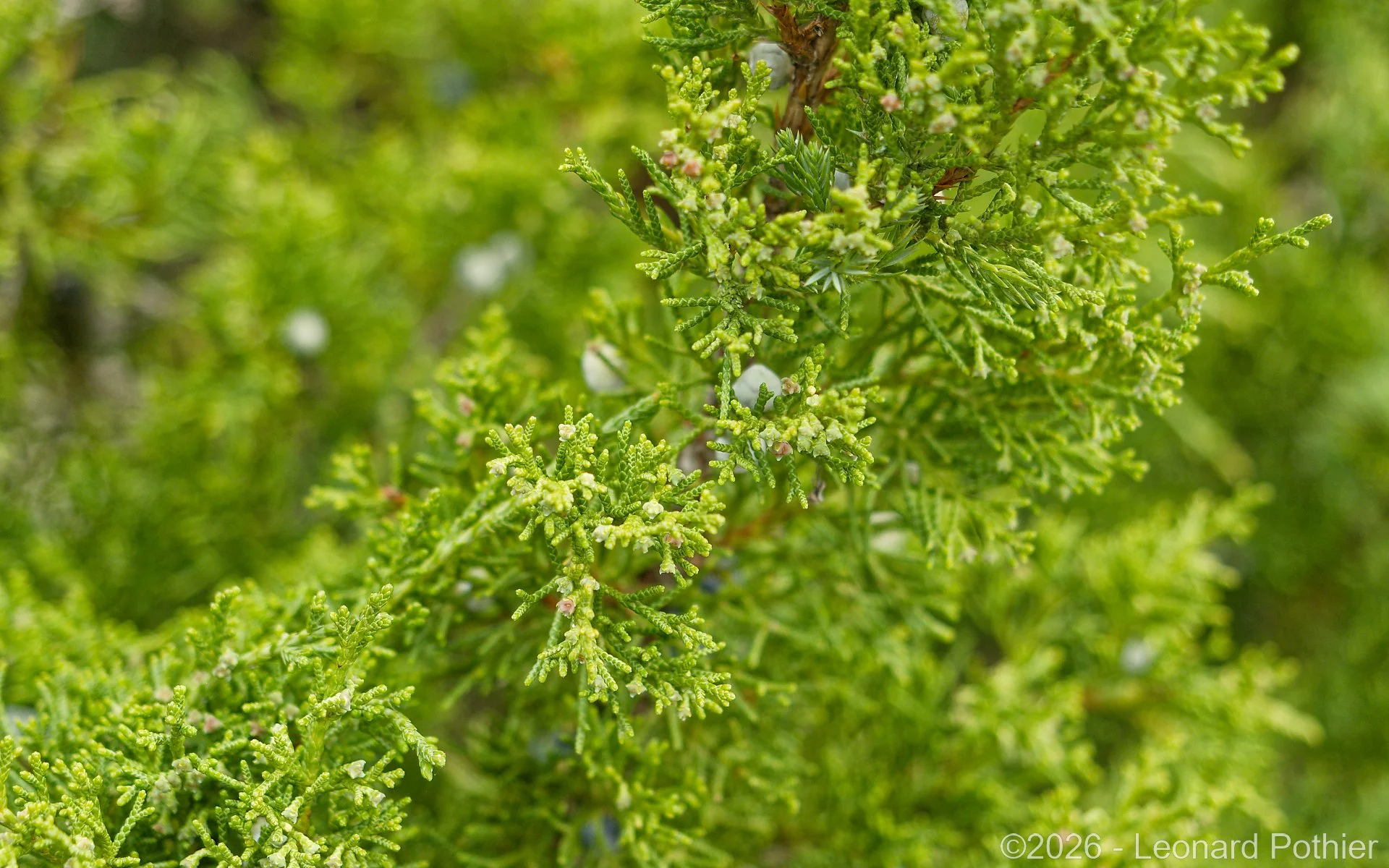 P5010367_DxO_1920.jpg