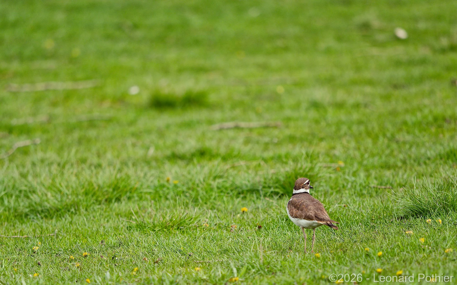 P5010414_DxO_1920.jpg