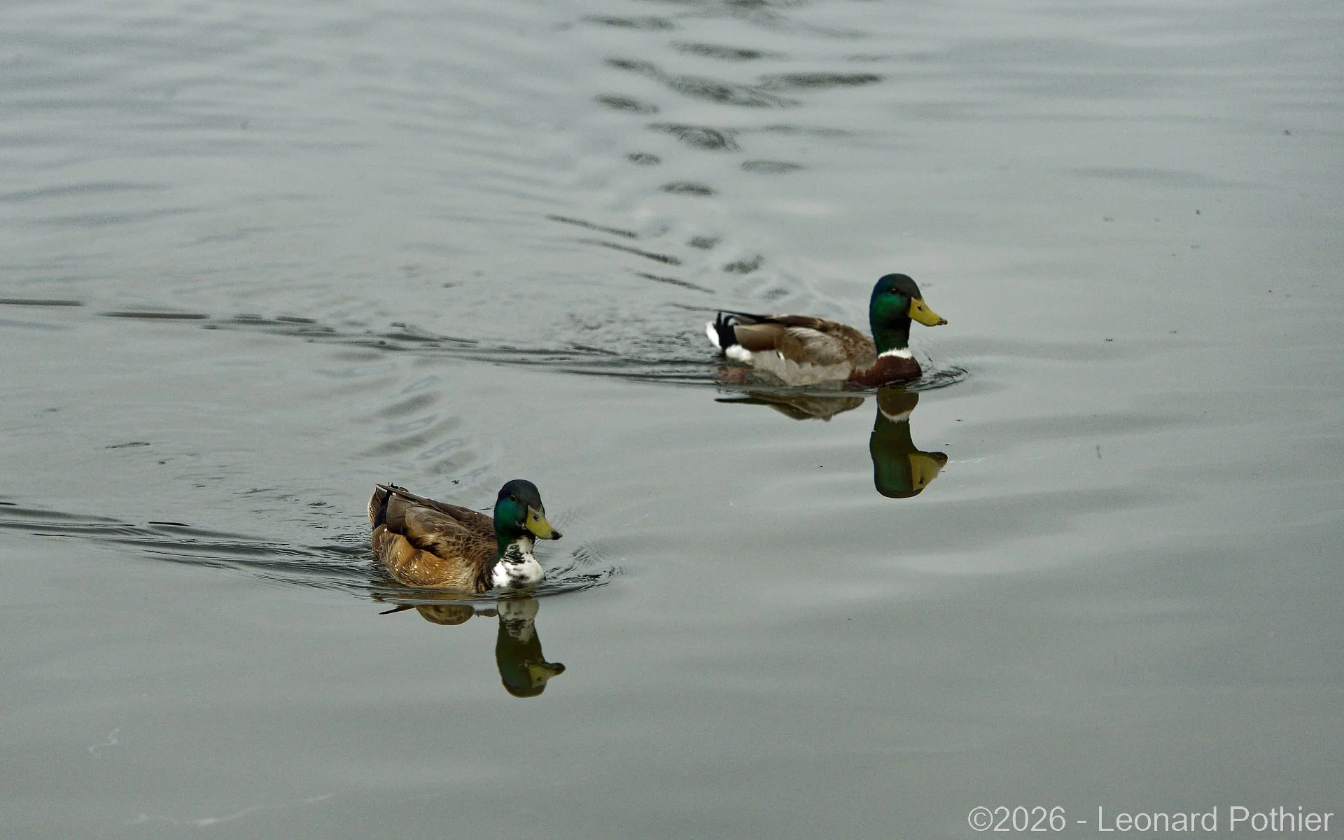 P5010434_DxO_1920.jpg