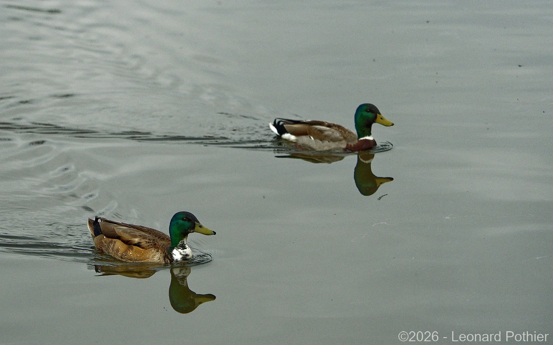 P5010436_DxO_1920.jpg