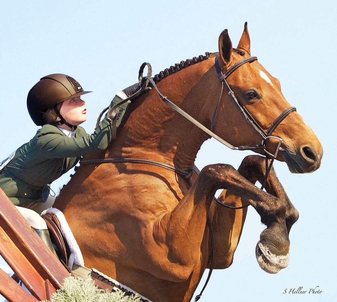 Kat Fuqua Soars to Top National Pony and Hunter Rankings..
